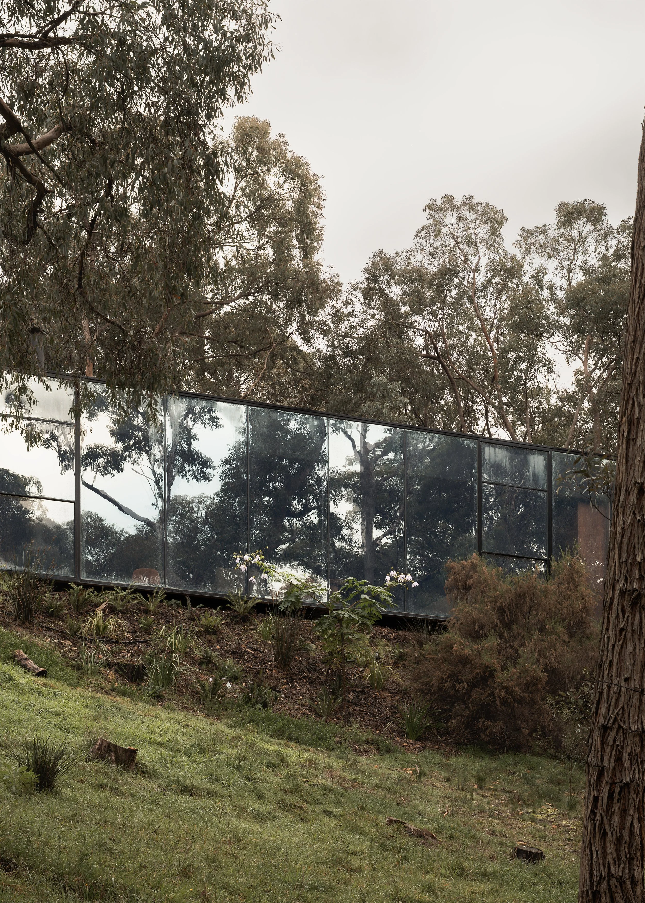 Mirrored glazed facade of Matchbox following the sloping bushland site in Hepburn Springs.