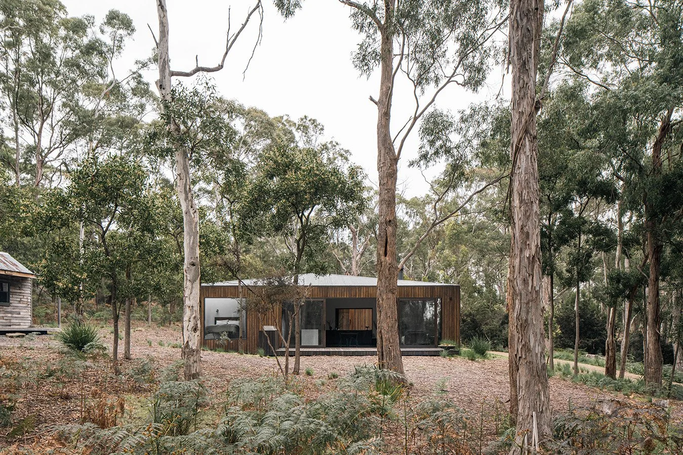 Killora Bay by Lara Maeseele, a timber-clad Tasmanian bushland retreat set among white gums on Bruny Island.