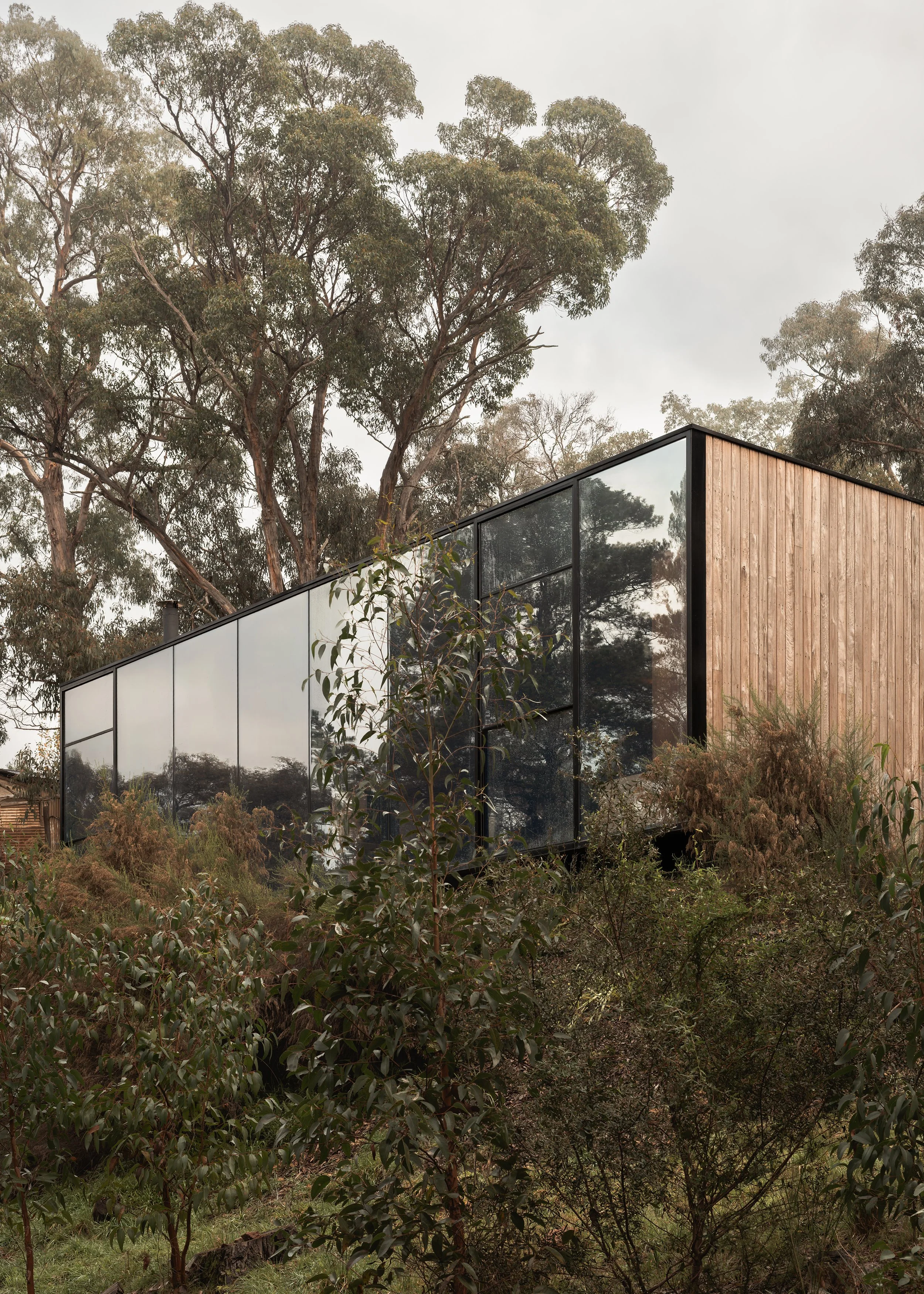 Reflective glazed corner of Matchbox surrounded by dense native vegetation on the Hepburn Springs site.