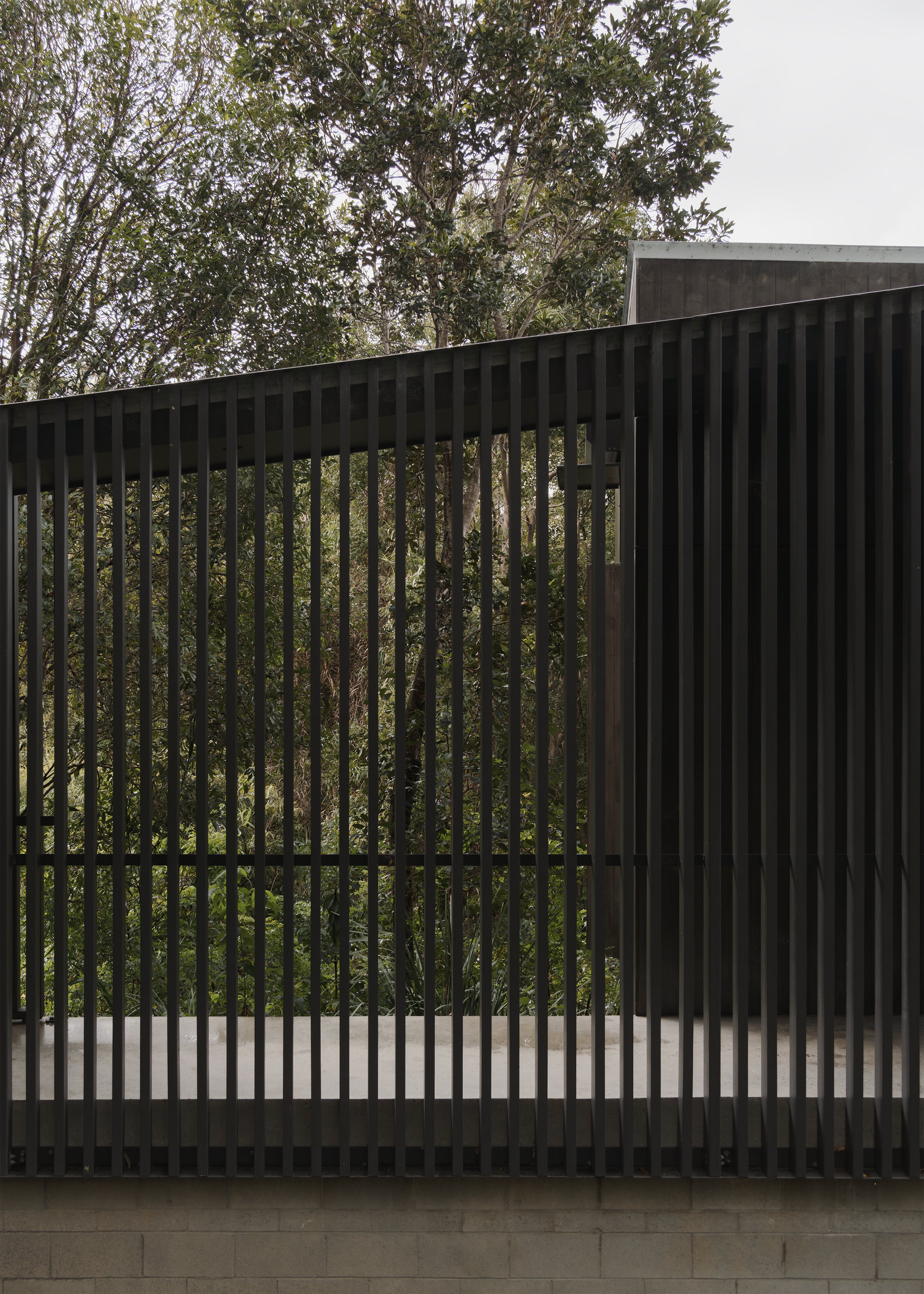 Black vertical battens screen the entry walkway of Tallowwood Cabin against the dense vegetation of the Gold Coast hinterland.