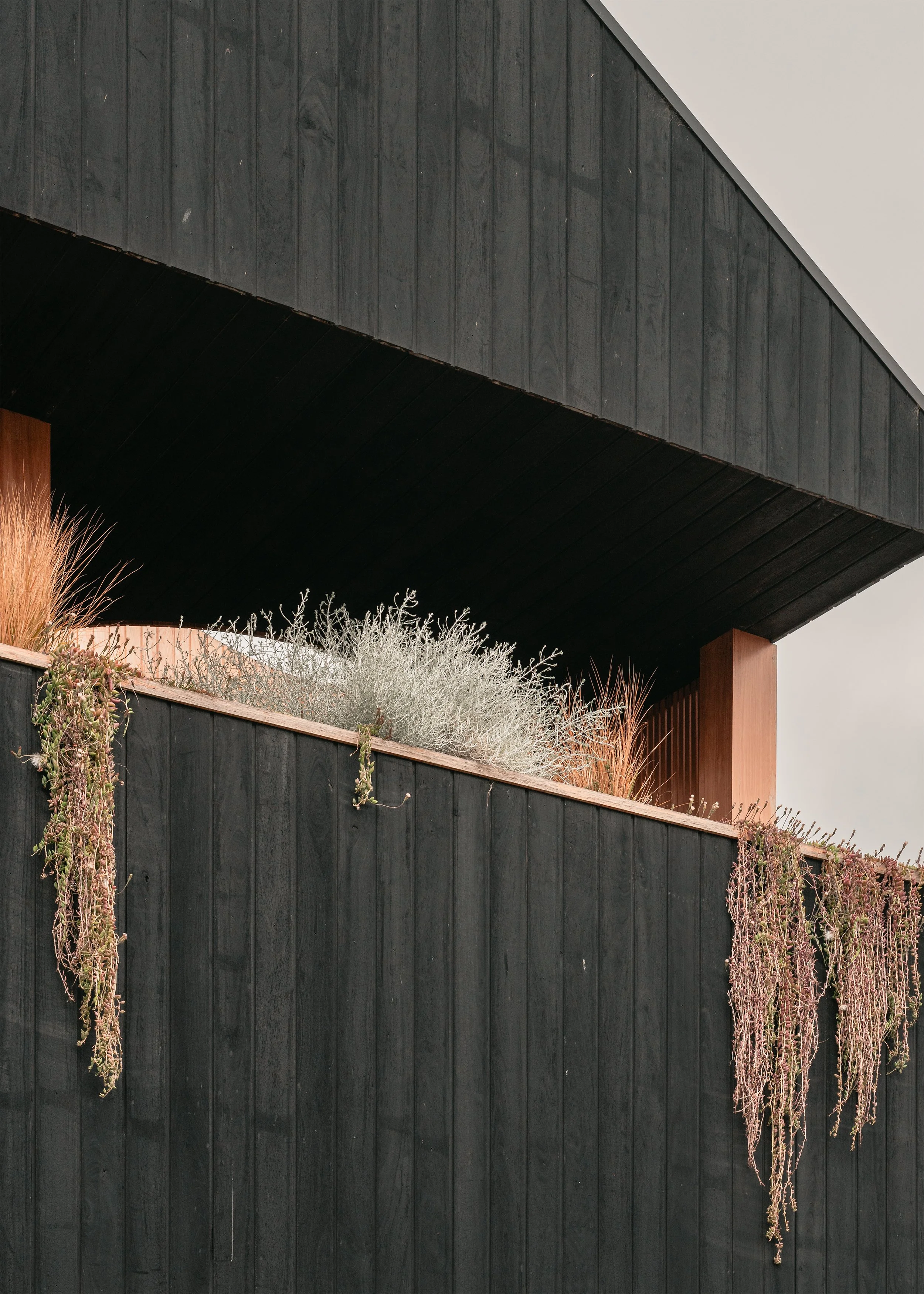 shou sugi ban cladding Australia – modern house extension – Australian house design – Northcote Victoria Australia – Northcote House by Olaver Architecture – Simple Dwelling