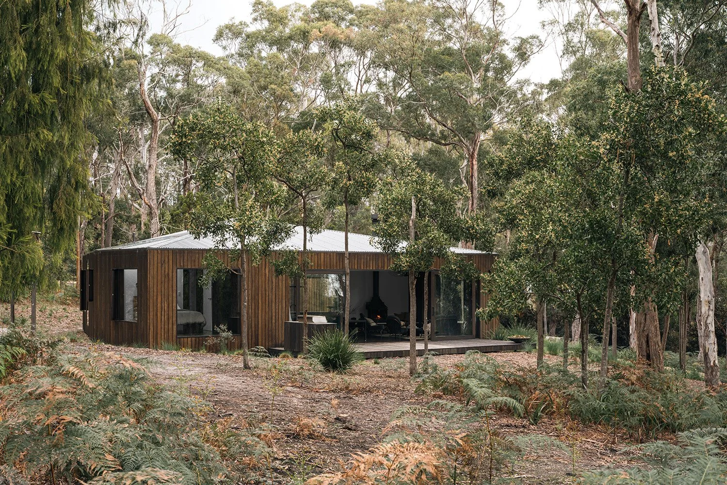 Killora Bay by Lara Maeseele seen across the bushland, with Tasmanian timber cladding, a pale metal roof and sheltered deck.