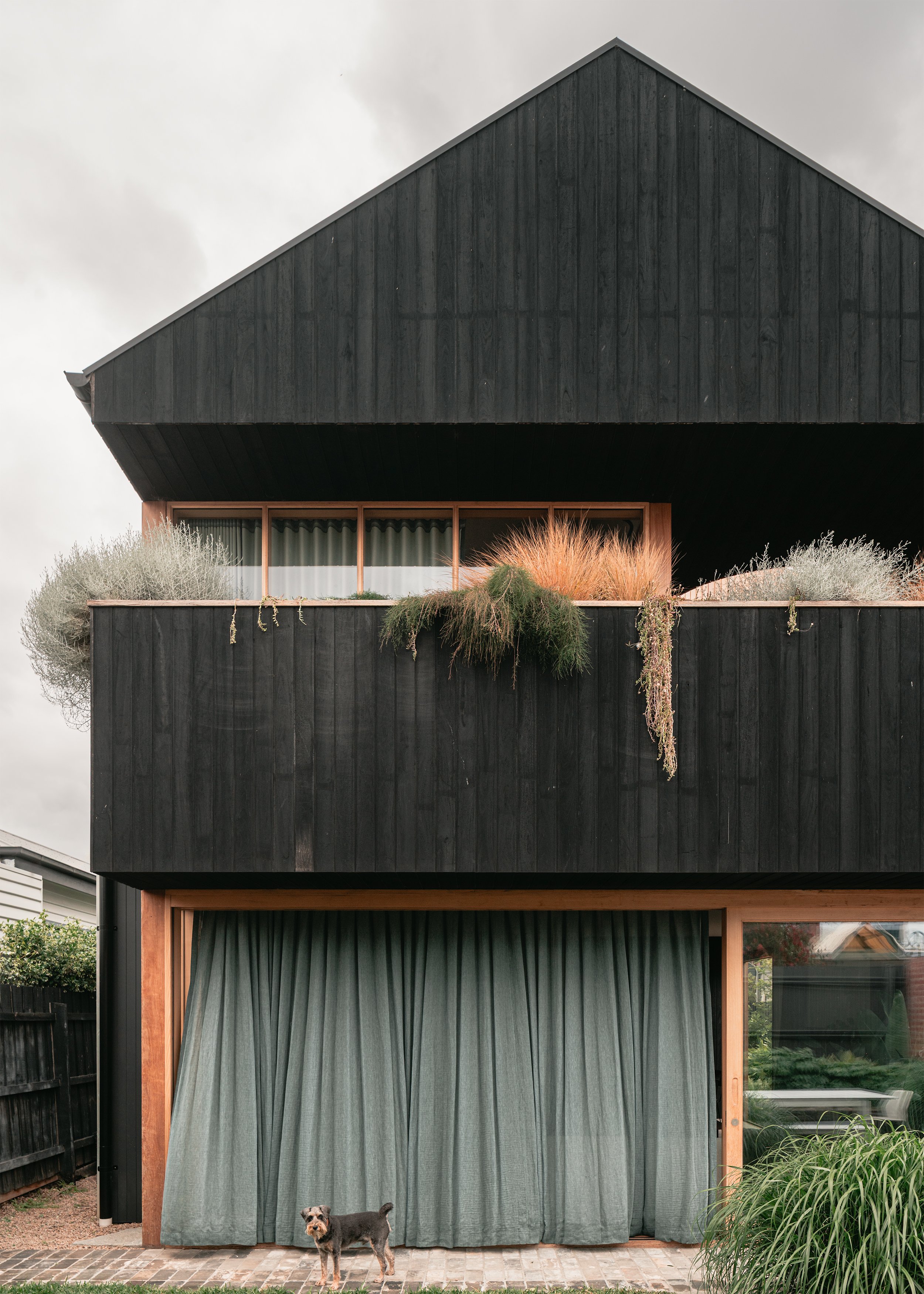 shou sugi ban cladding Melbourne – modern house extension – Australian house design – Northcote Victoria Australia – Northcote House by Olaver Architecture – Simple Dwelling