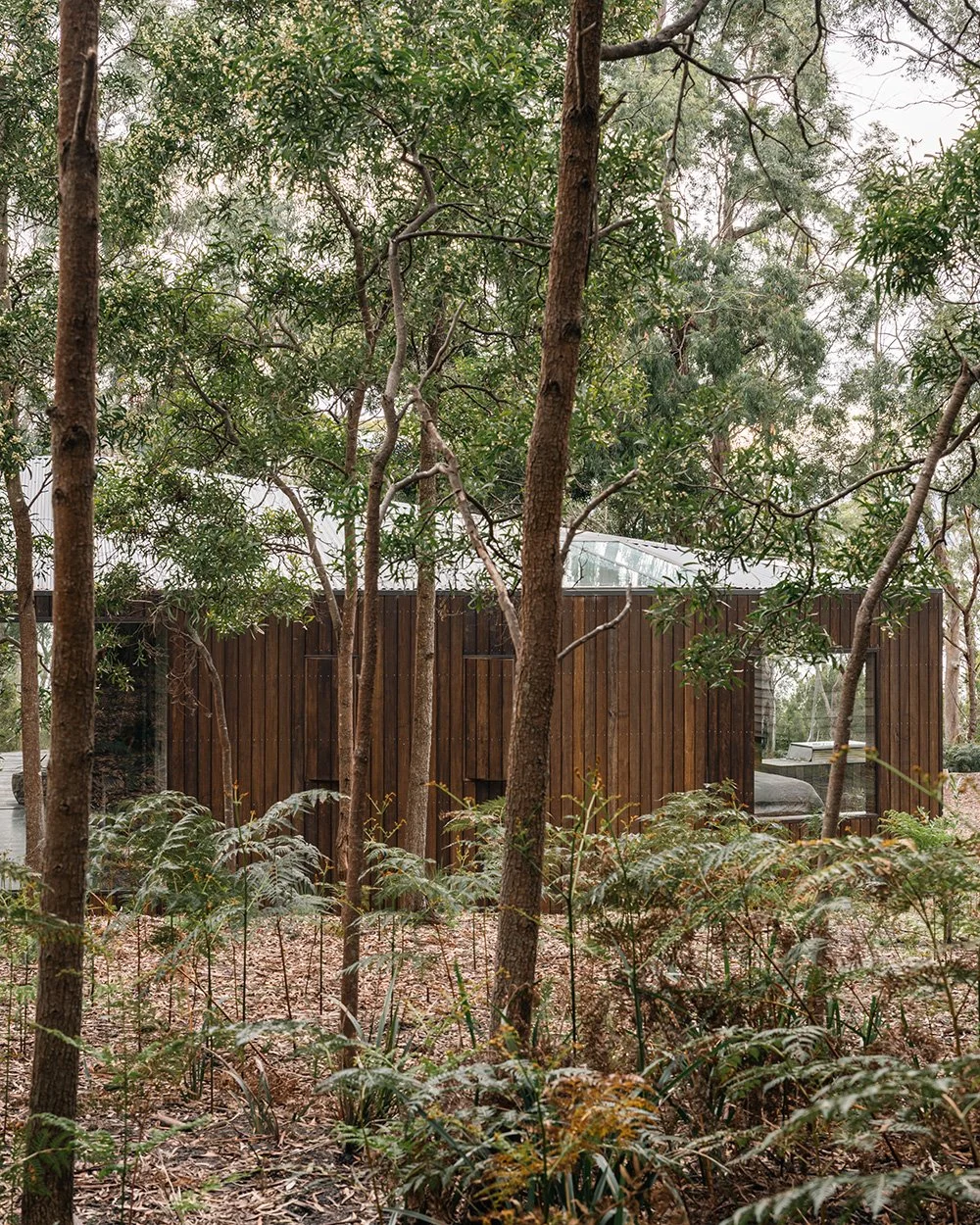 Killora Bay, a compact timber cabin embedded in the native bushland of northern Bruny Island, Tasmania.