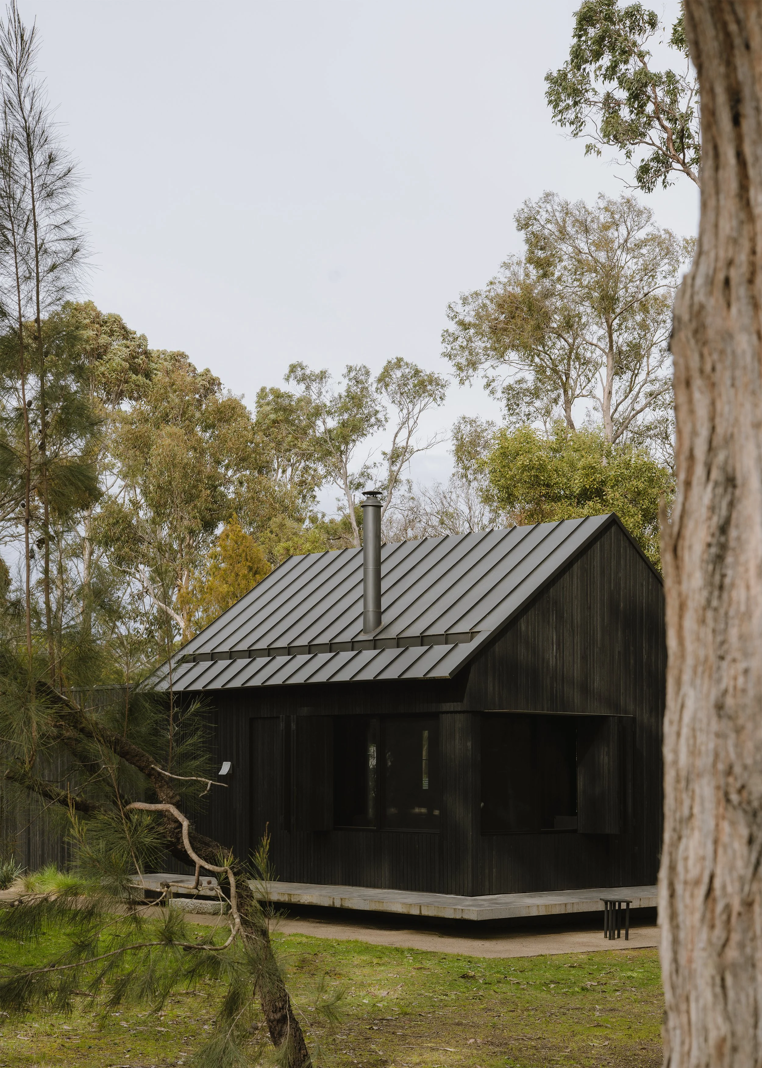 Exterior – cabin building in the woods – architect's own home – Bittern Cabin by Nic Morgante