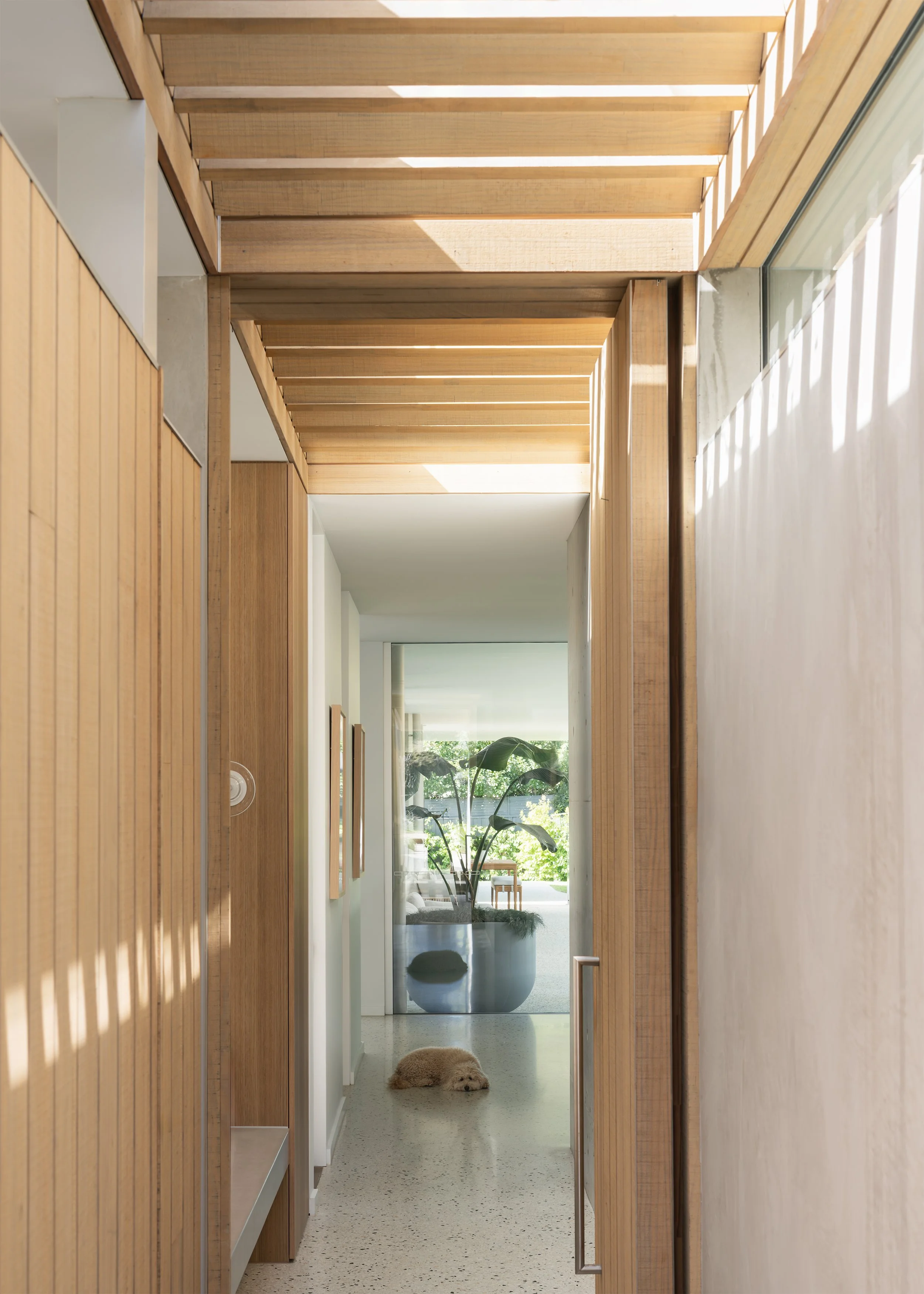 Timber-lined entry passage with filtered sunlight, polished concrete floor and garden view through Channel with resident dog.