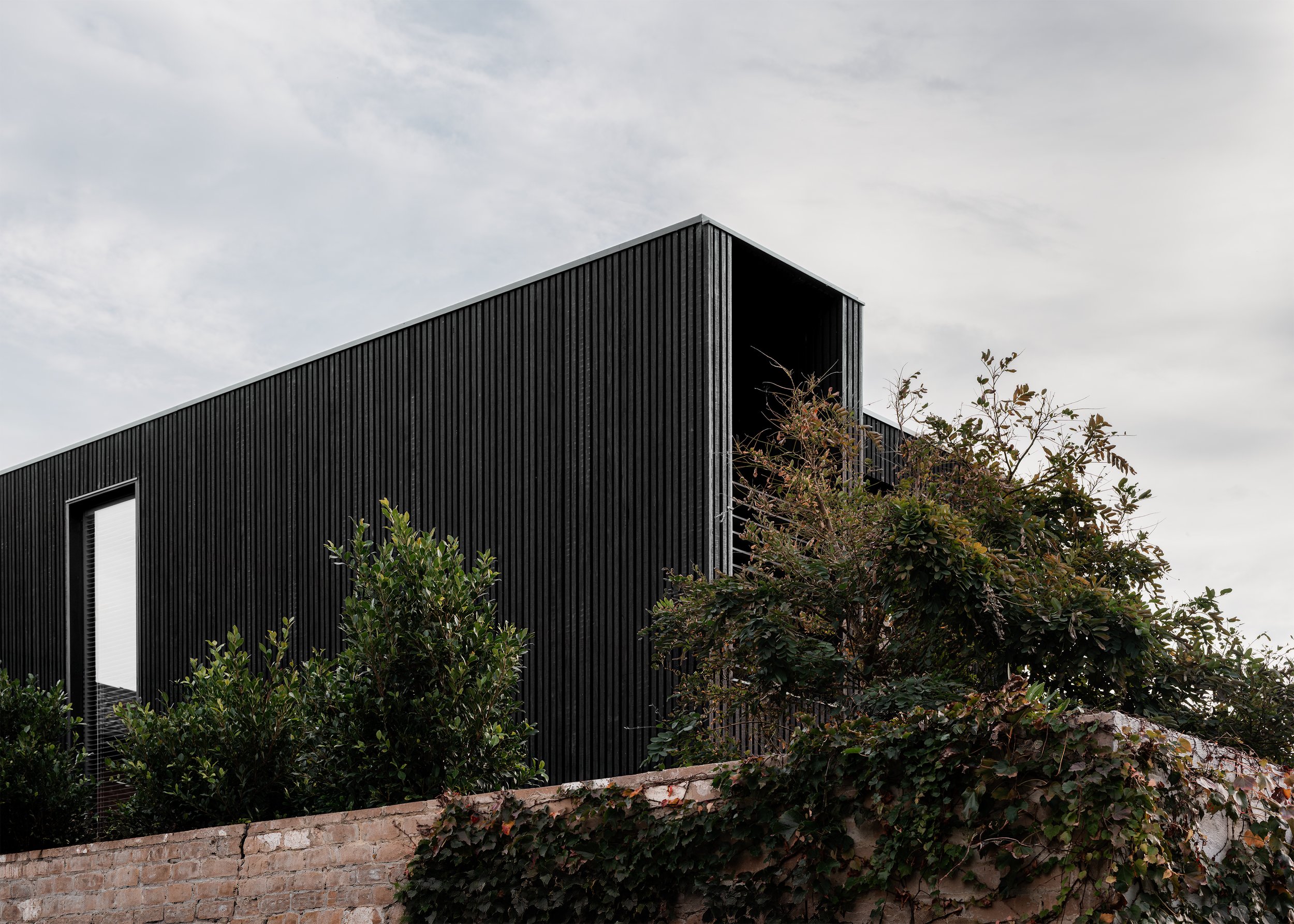 Black-clad upper-level addition rising above established planting at Borrowed Garden House by Topology Studio.