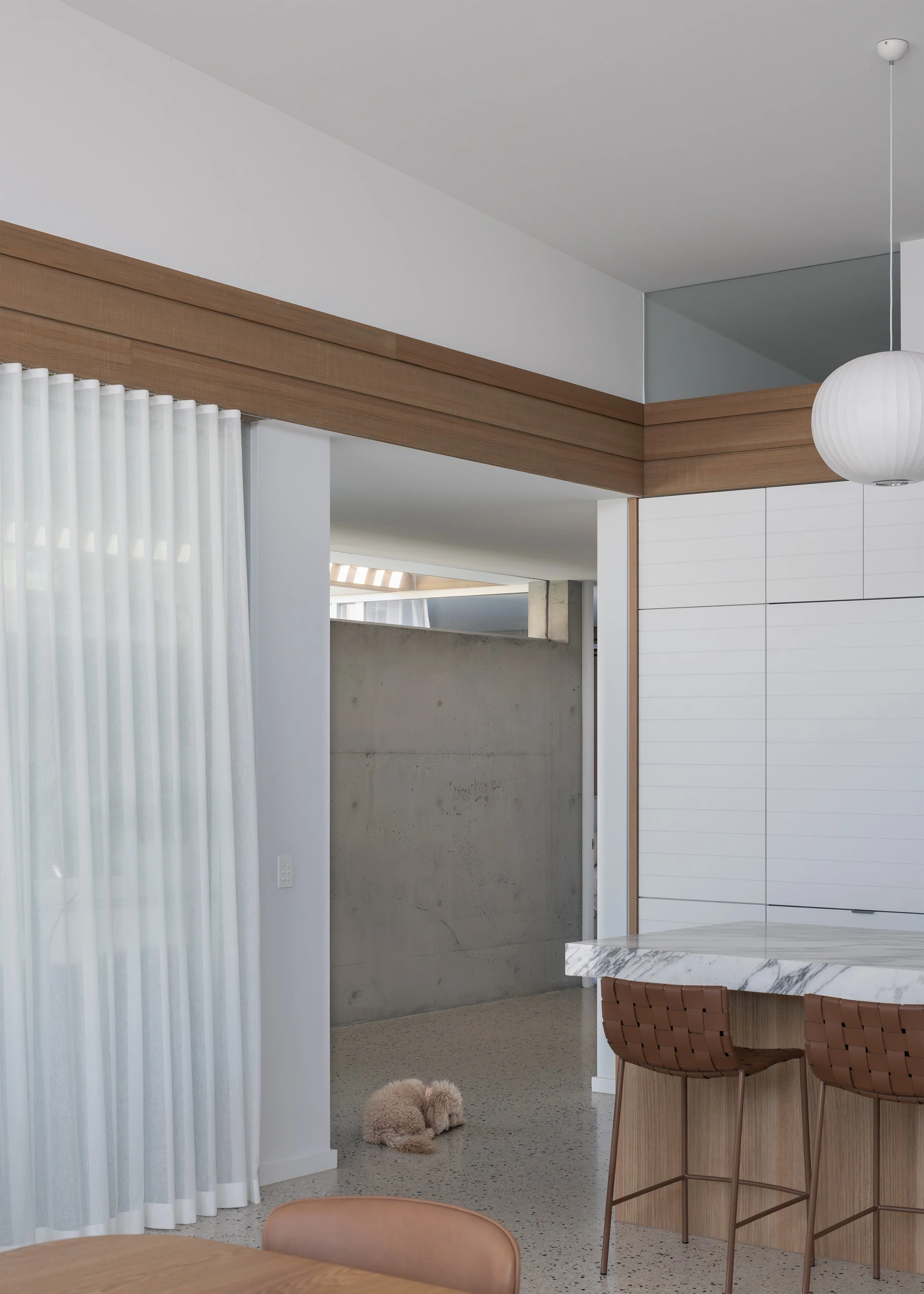 Kitchen and dining space framed by timber beams, white cabinetry and exposed concrete walls at Channel with resident dog.
