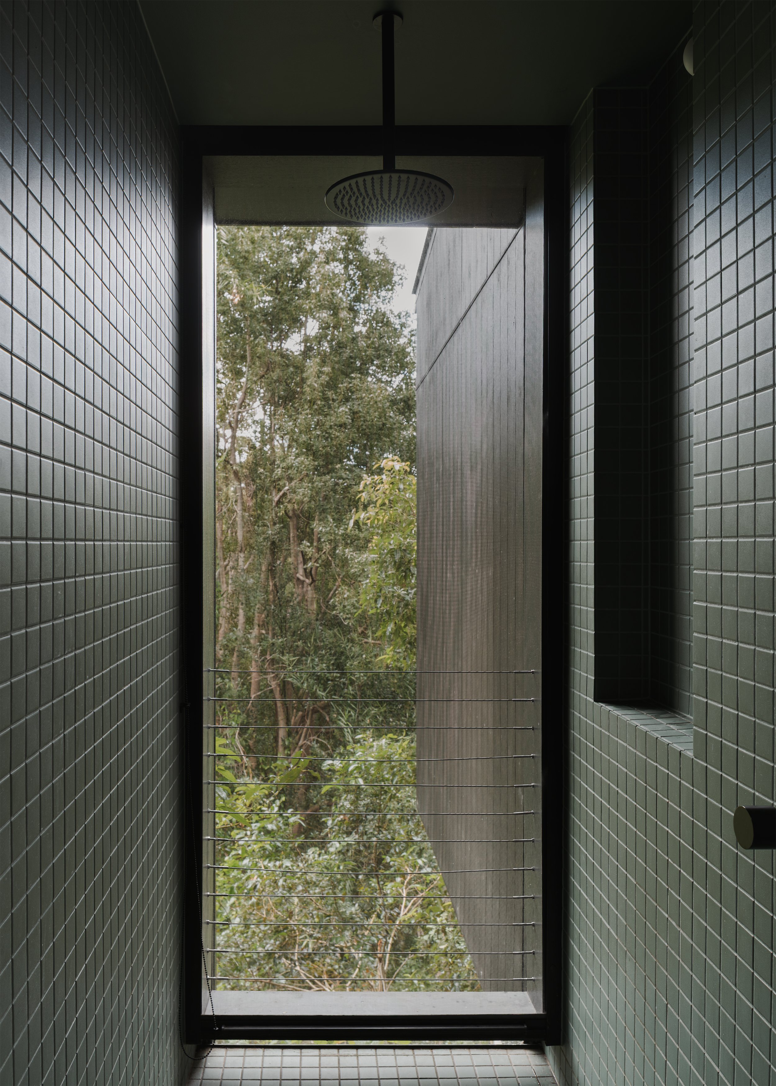 Dark green tiled shower at Tallowwood Cabin opening to a full-height view of the surrounding eucalypt forest.