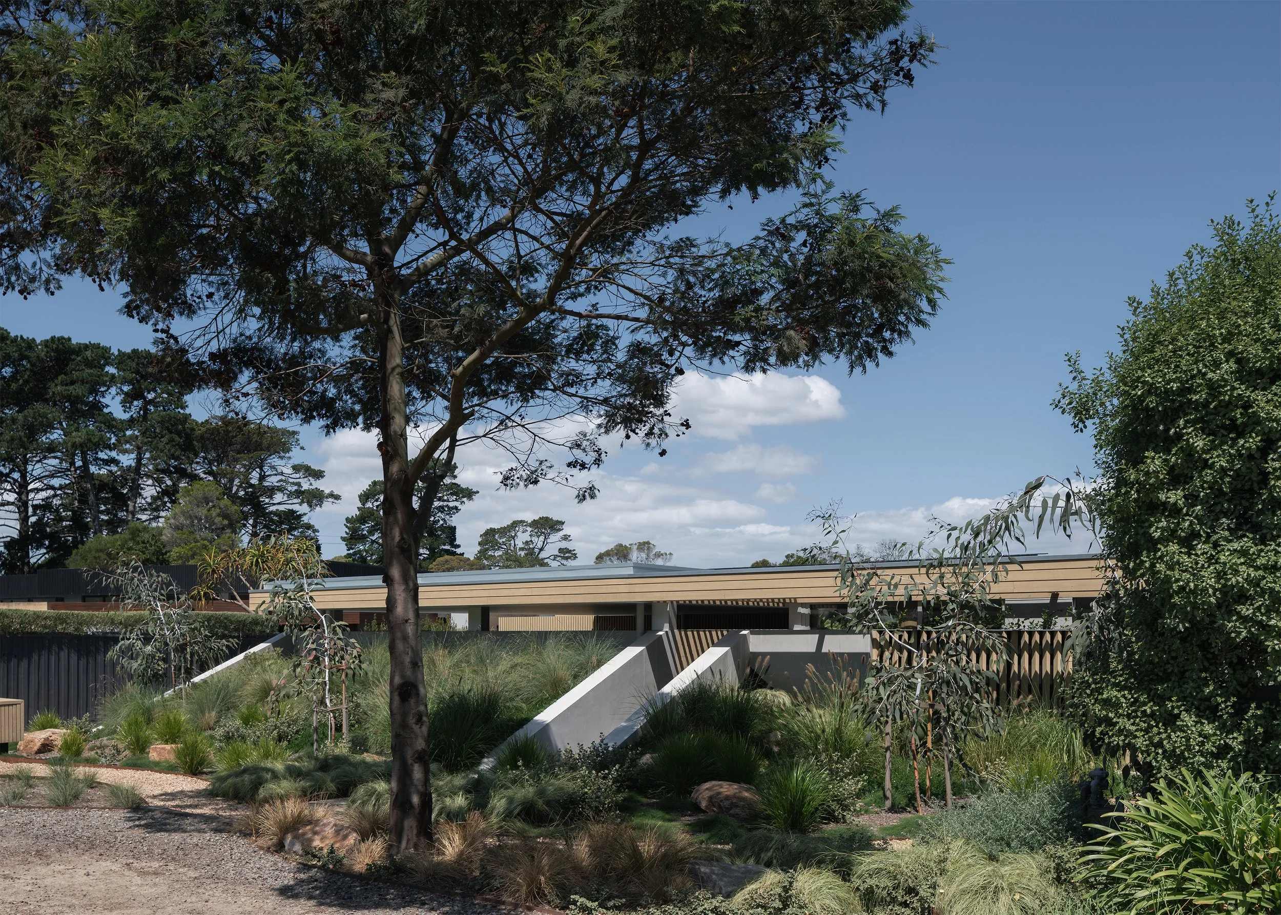Landscape-responsive street elevation of Channel, where mature trees and layered planting screen the contemporary Australian home.