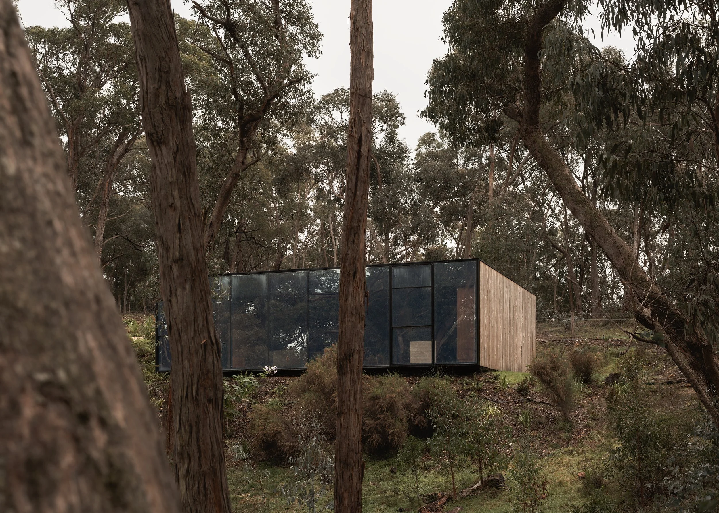 Matchbox by Vincent Jarvis Studio among eucalypts in Hepburn Springs, with mirrored glazing and a timber-clad end wall.
