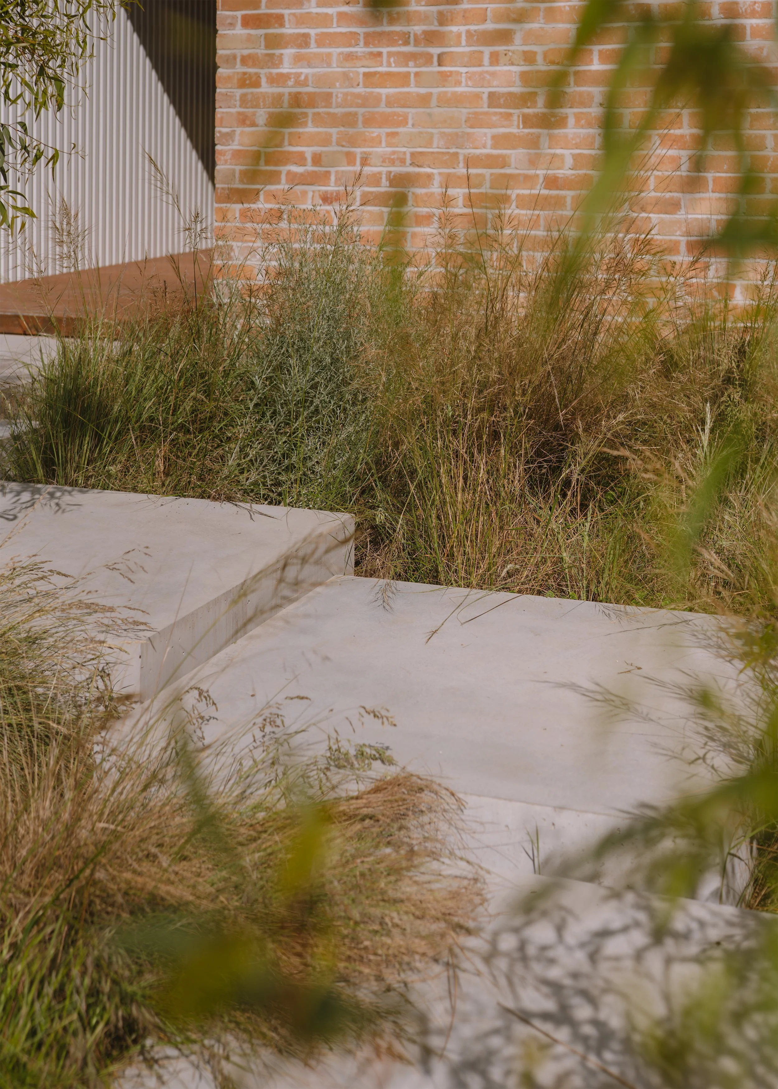 coastal family home – garden design – Fisherman's Walk by Megowan