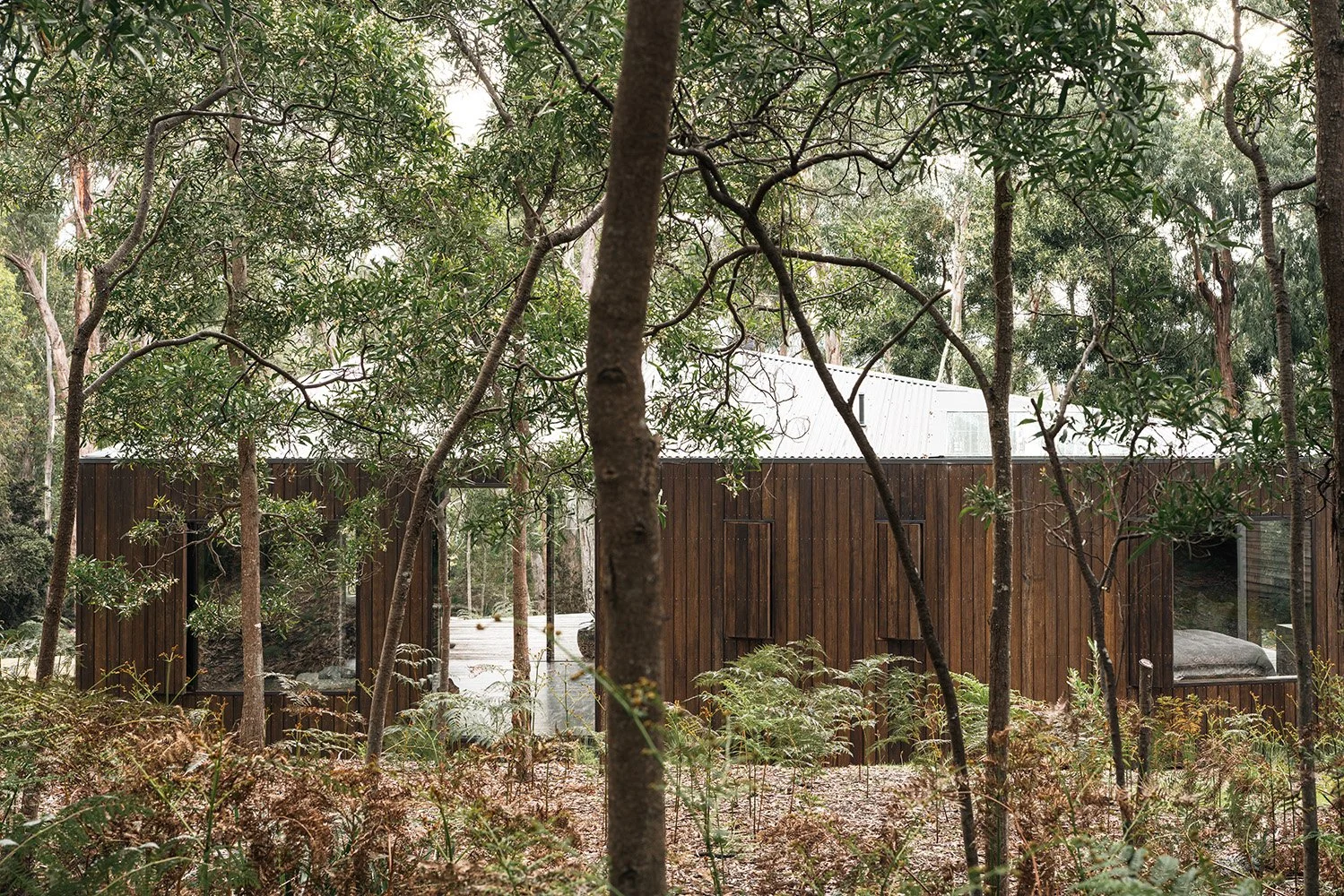 Killora Bay, an architect's own timber cabin embedded in the native bushland of northern Bruny Island, Tasmania.