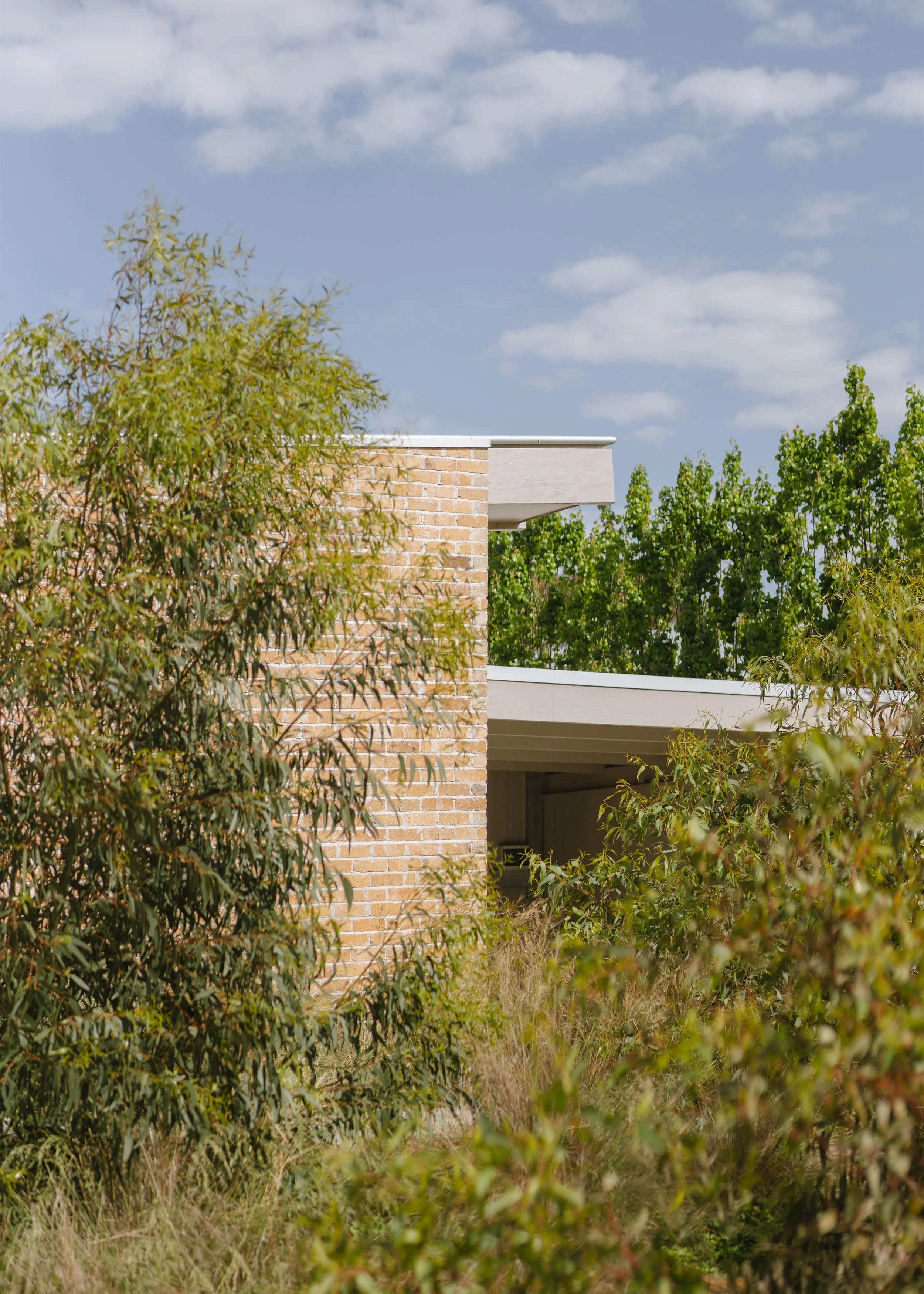 coastal family home – native garden design – Barwon Heads Victoria Australia – Fisherman's Walk by Megowan