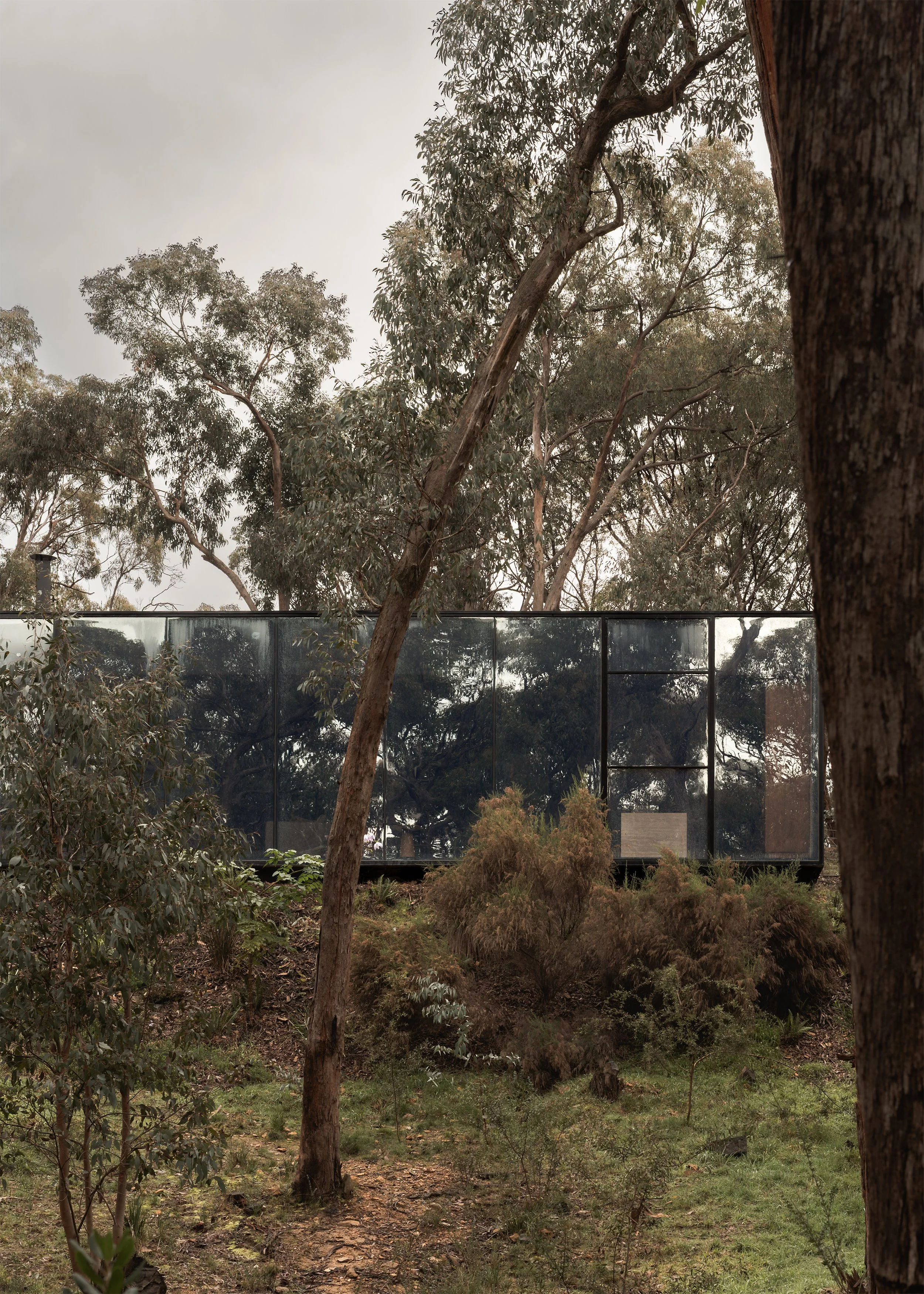 Front elevation of Matchbox framed by mature eucalypts, with dark reflective glazing facing the bush.