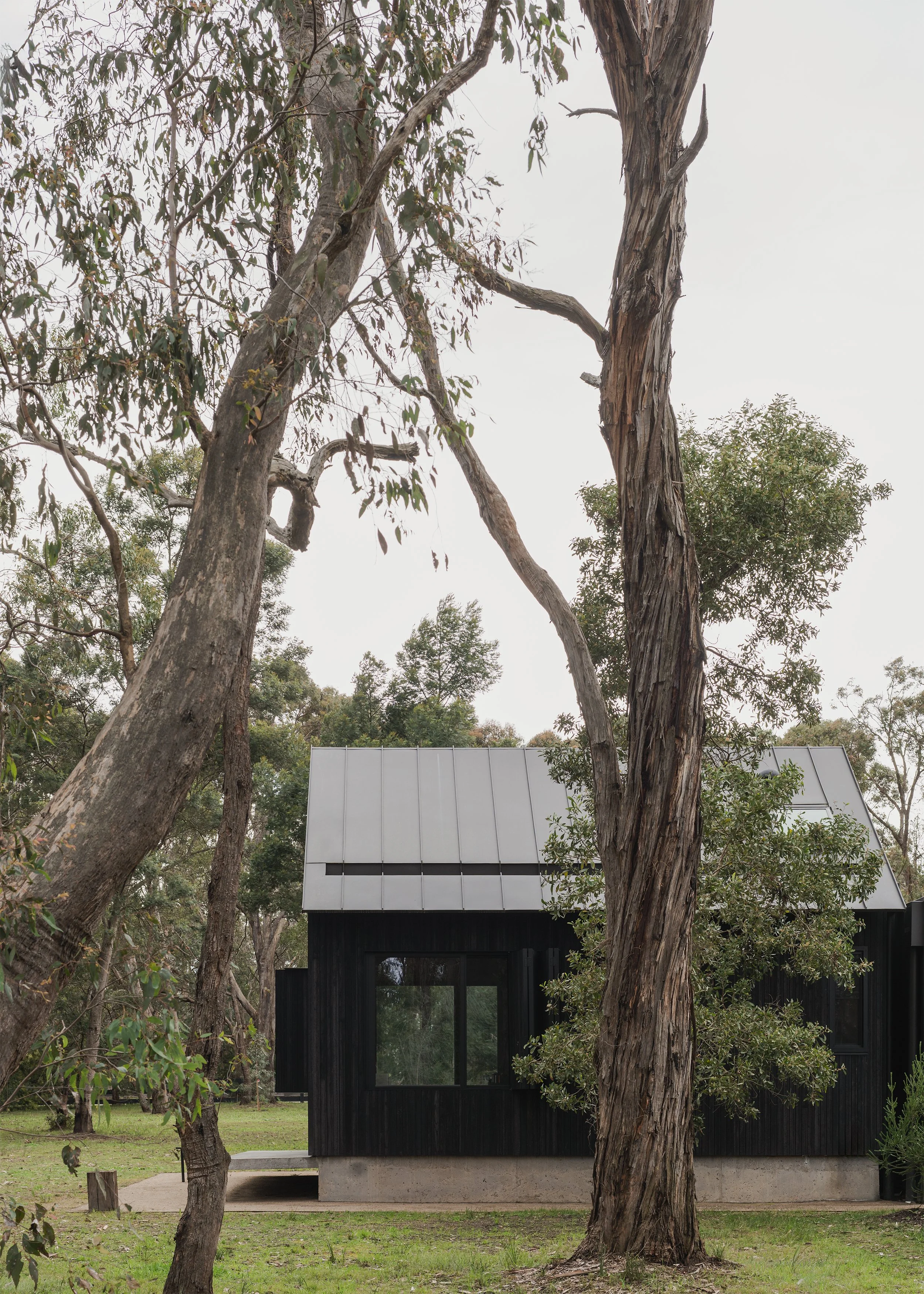 small cabin design – architect's own home – Bittern Victoria Australia – Bittern Cabin by Nic Morgante