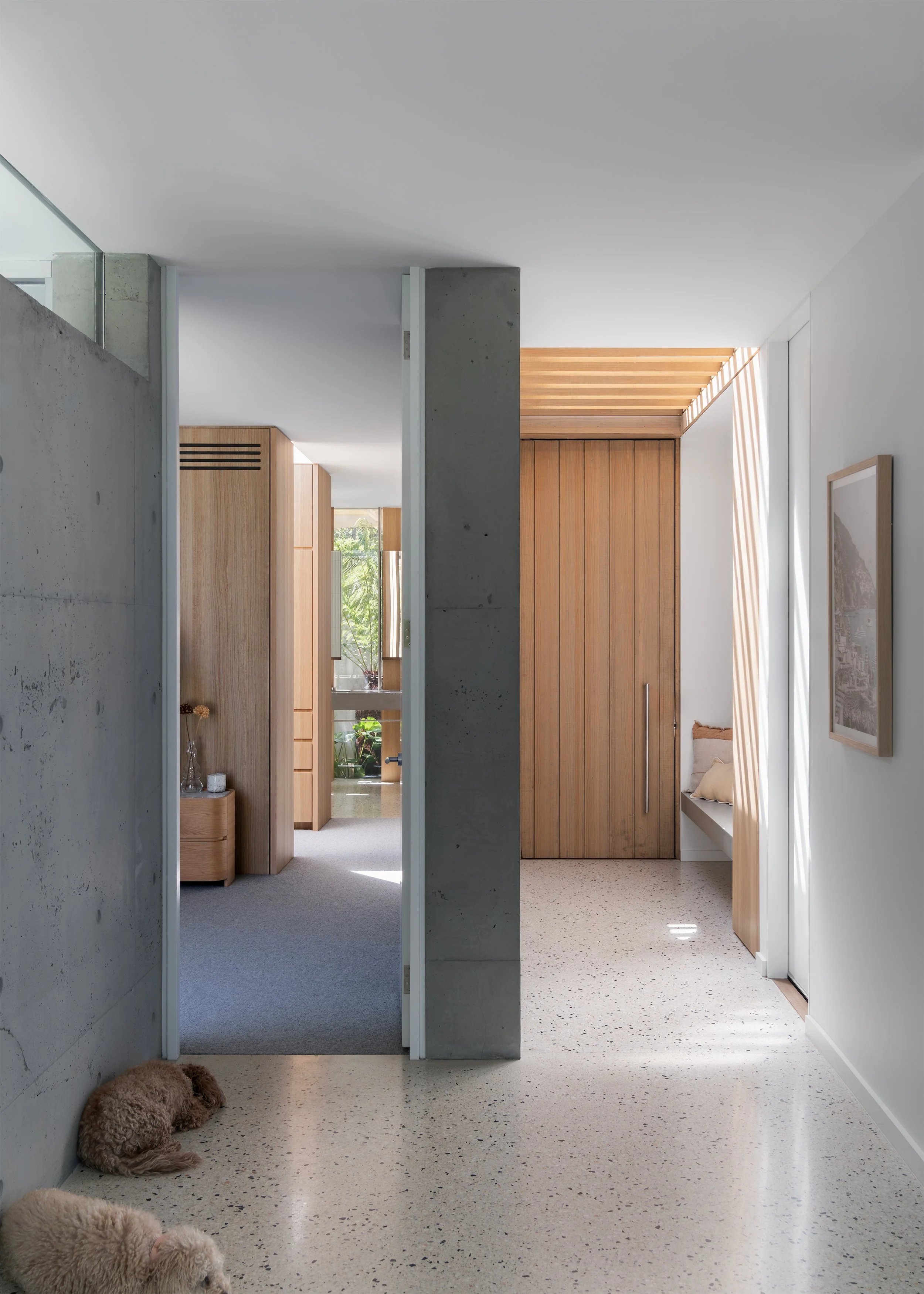 Bedroom corridor with exposed concrete walls, timber joinery and filtered natural light in Megowan Architectural’s Mornington home with resident dog.