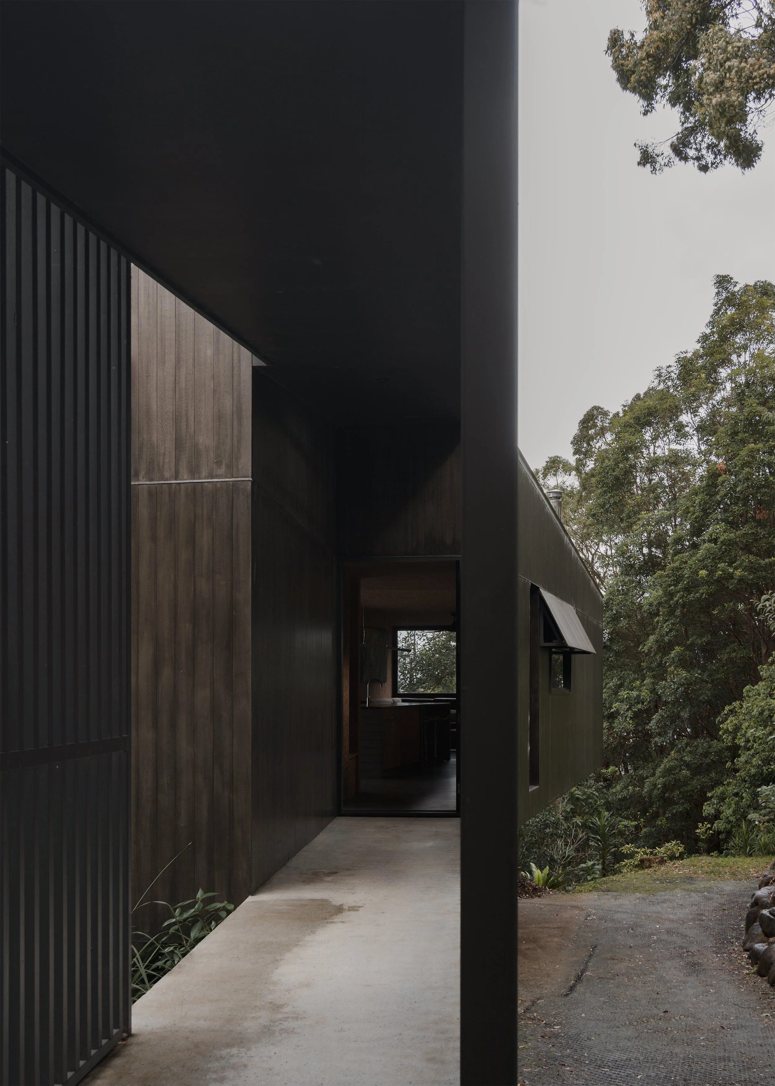Sheltered entry ramp at Tallowwood Cabin running between dark vertical cladding and the sloping bushland driveway.