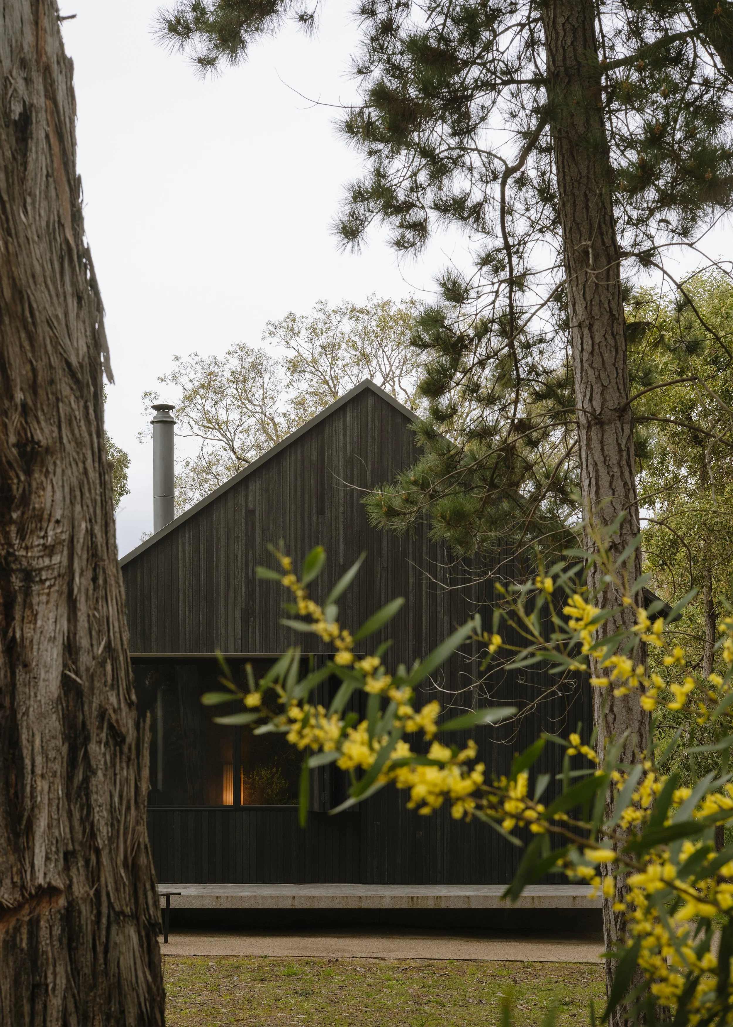 Exterior – small cabin design – architects at home – Bittern Cabin by Nic Morgante