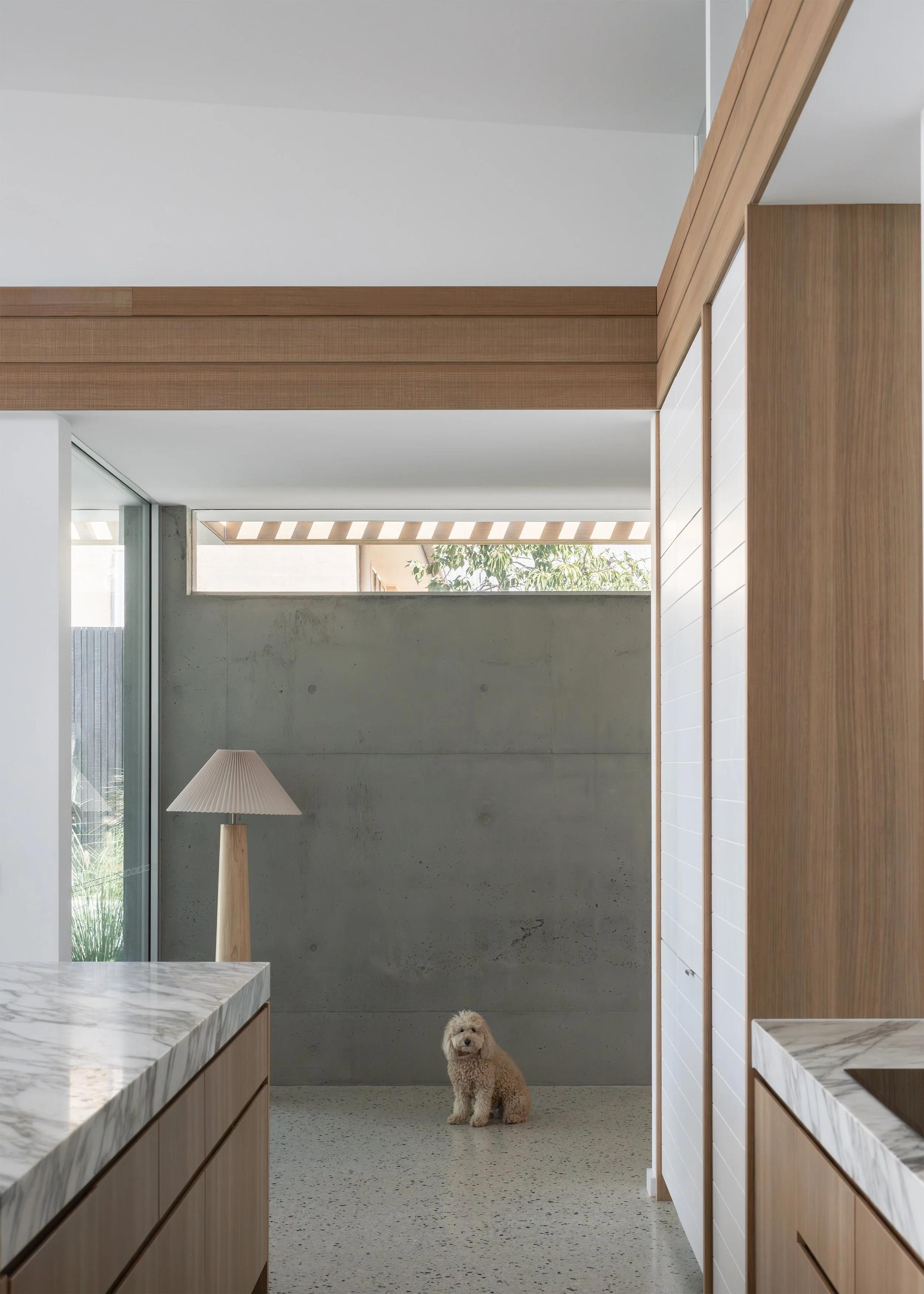 Open-plan kitchen at Channel with marble island, timber cabinetry and exposed structural elements framing the interior with resident dog.
