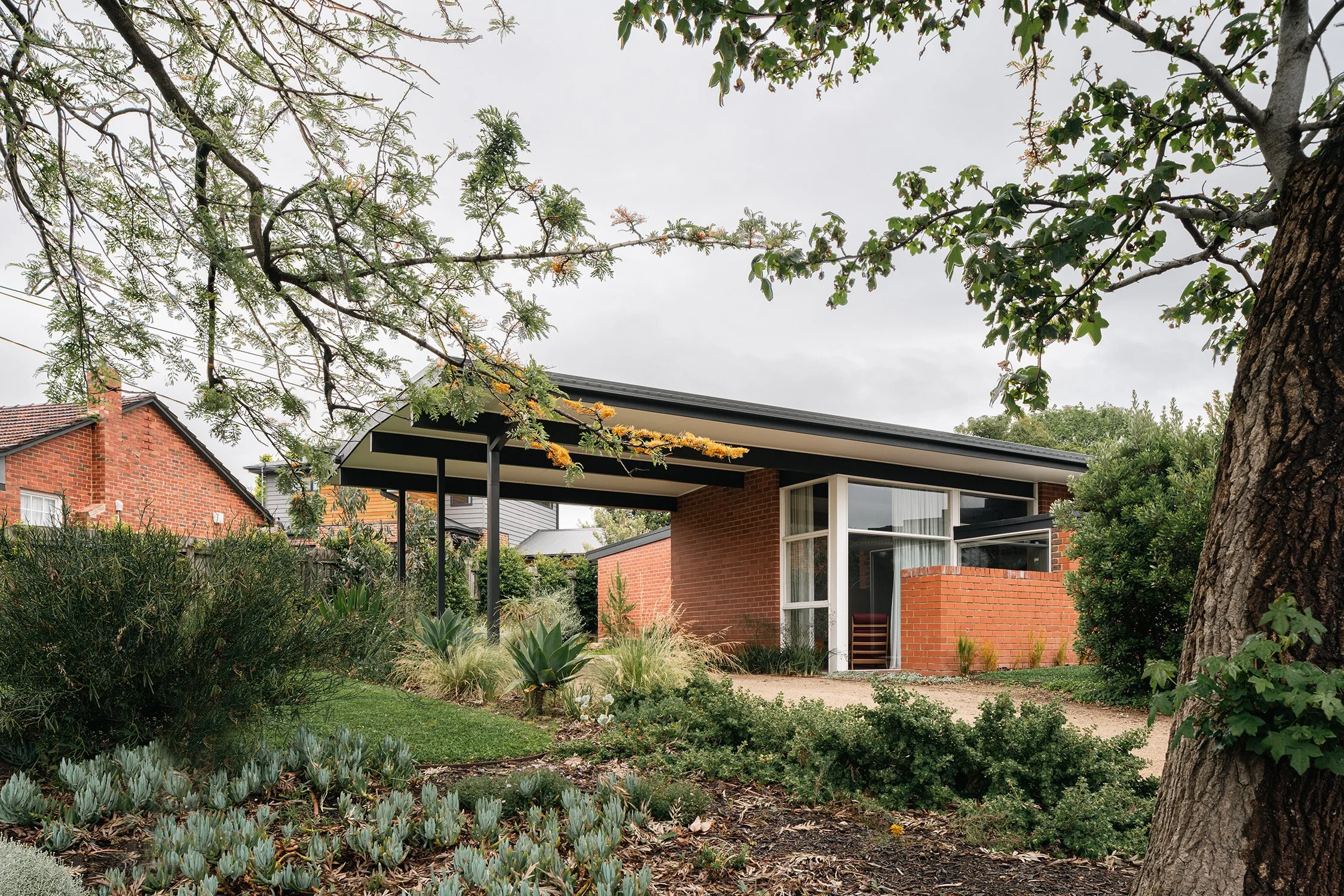 Mid century modern house in Frankston, Australia, with red brick walls, a low sloping roof, corner windows and an established garden.