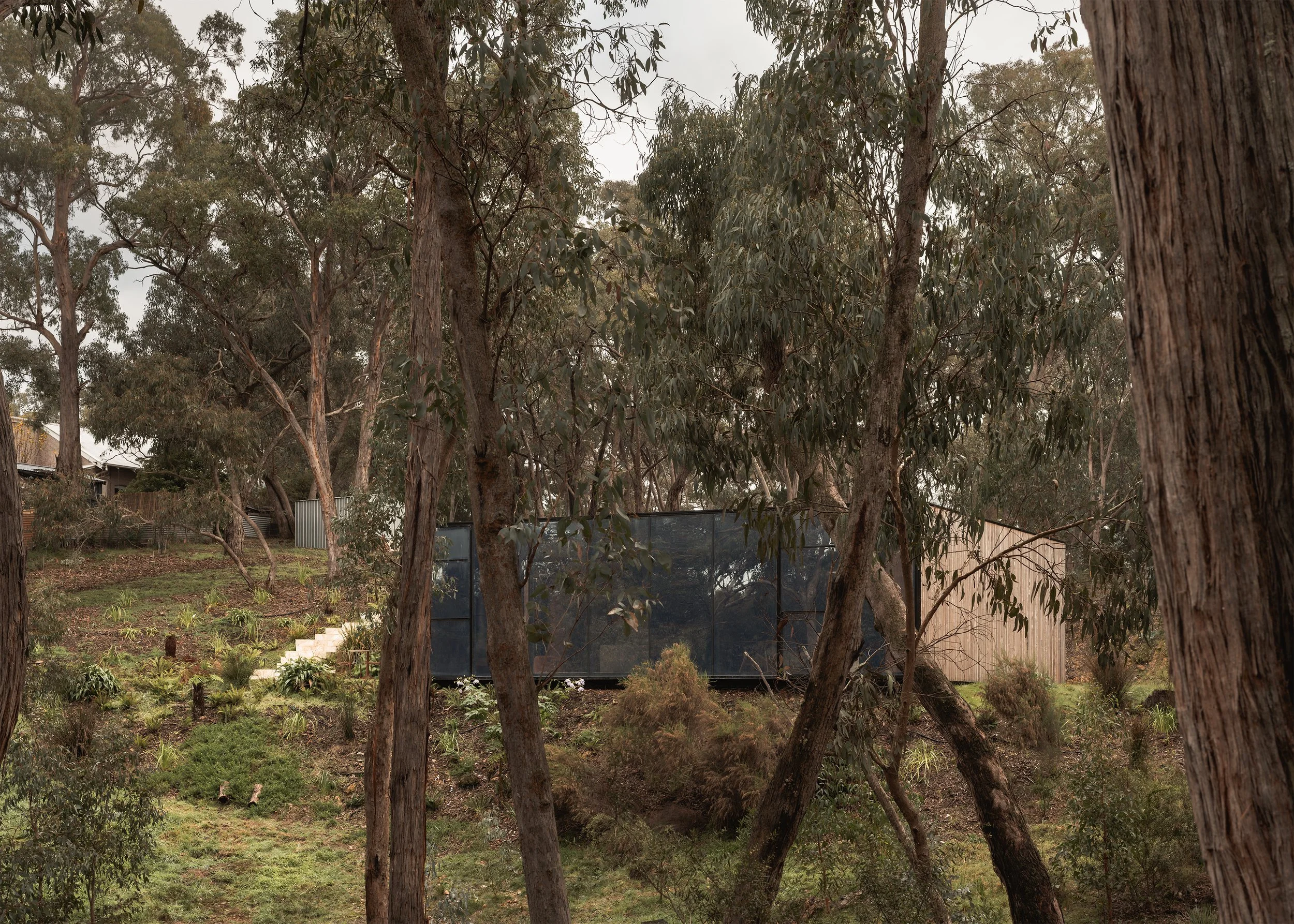 Matchbox partially concealed among eucalypts on its steep bushland site in Hepburn Springs.