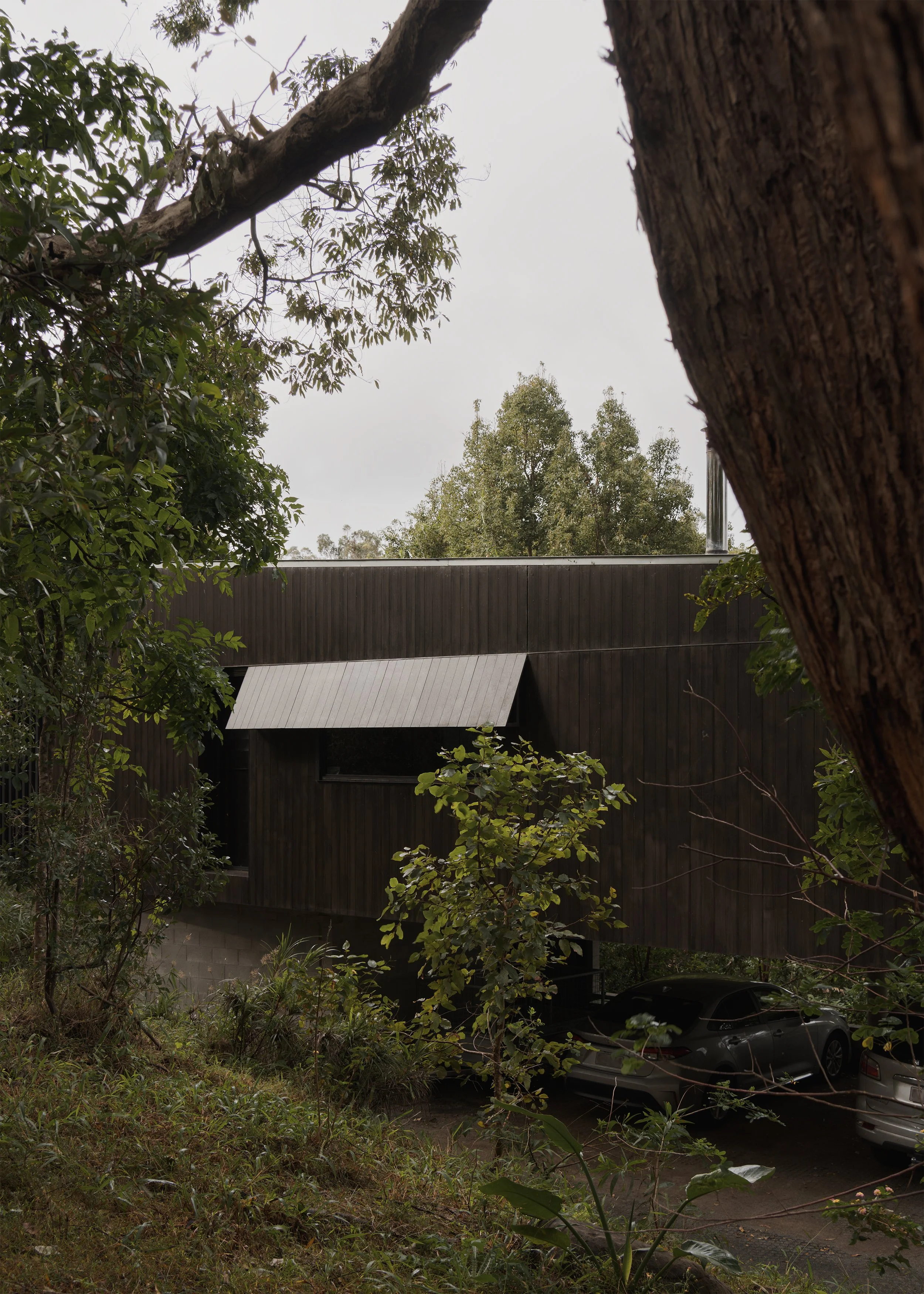 Tallowwood Cabin viewed through mature trees, with a raised dark-clad volume sheltering car parking beneath the main living floor.