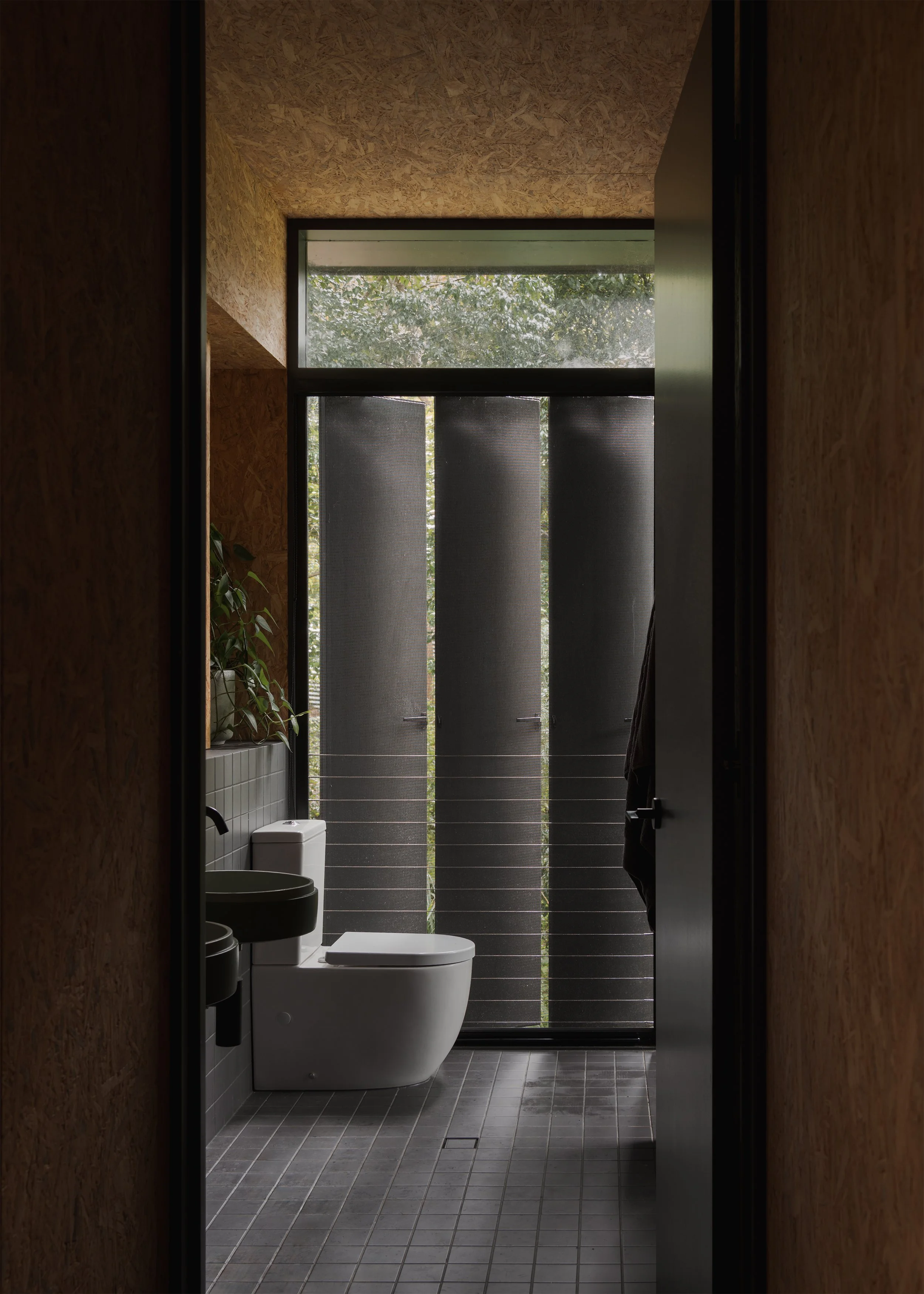 Bathroom at Tallowwood Cabin viewed through an OSB-lined hallway, with dark tiles, white sanitaryware and filtered bushland light.