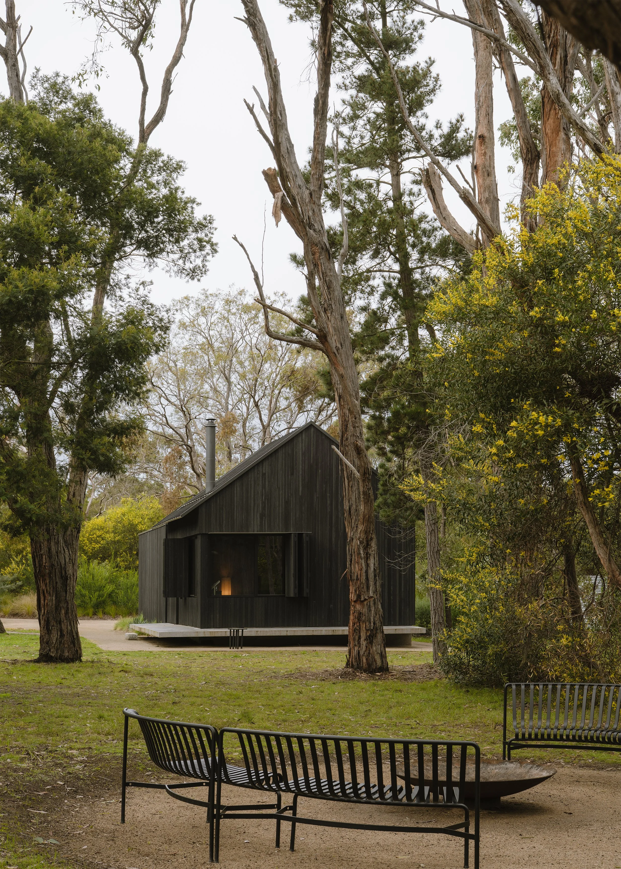 Exterior – cabin building in the woods – architect's own home – Bittern Cabin by Nic Morgante