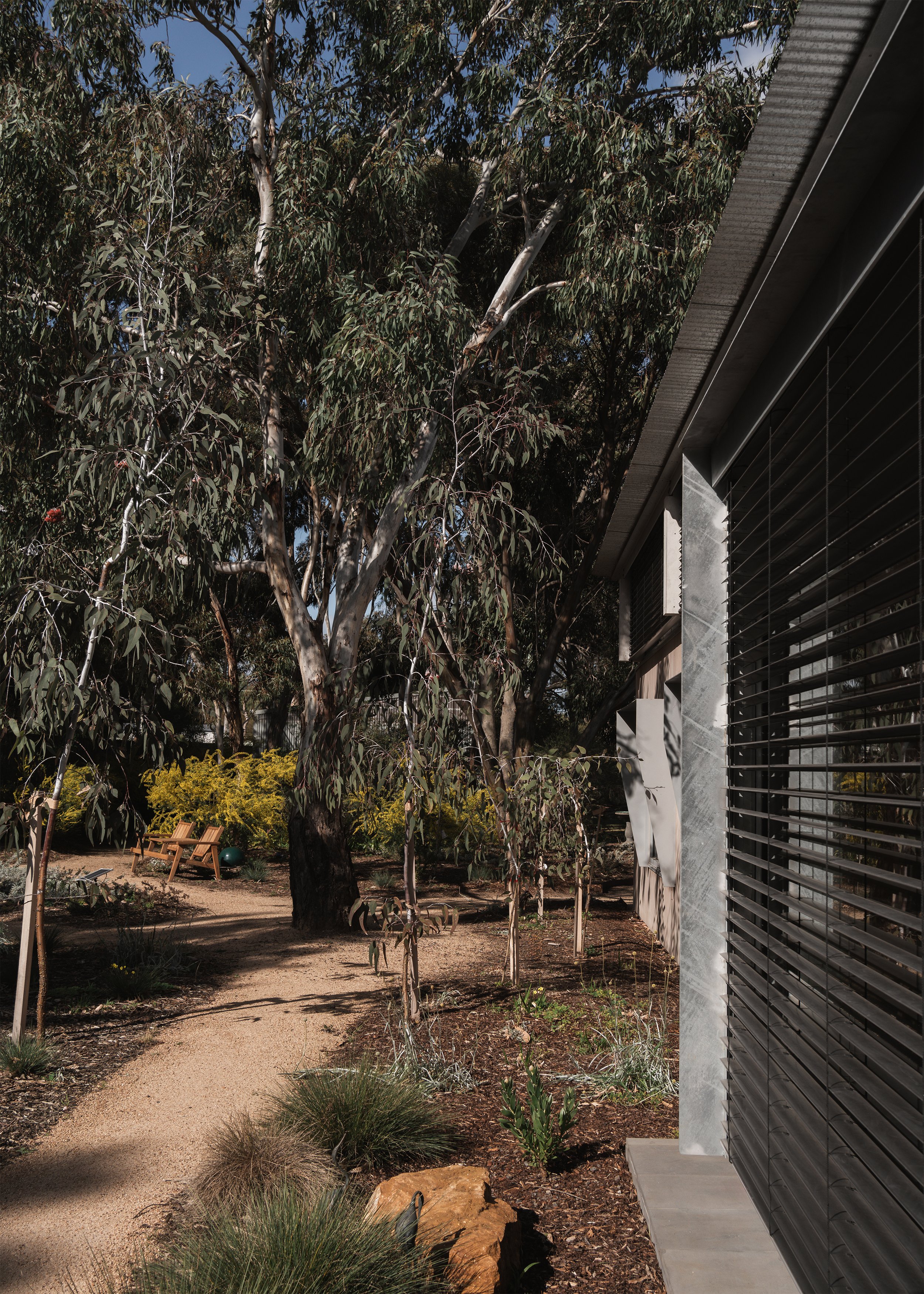 Gravel garden path beneath gum trees beside external venetian blinds at Forest Road House in Lara, Victoria.