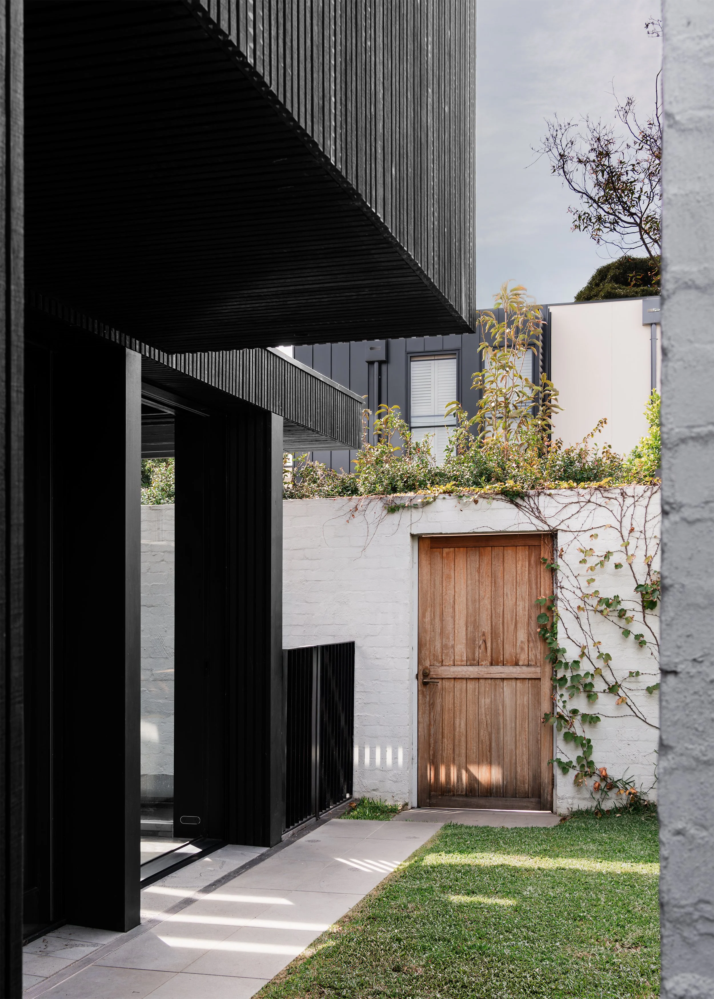 Garden courtyard framed by black timber architecture, white masonry walls and a timber gate by Melbourne architects Topology Studio.