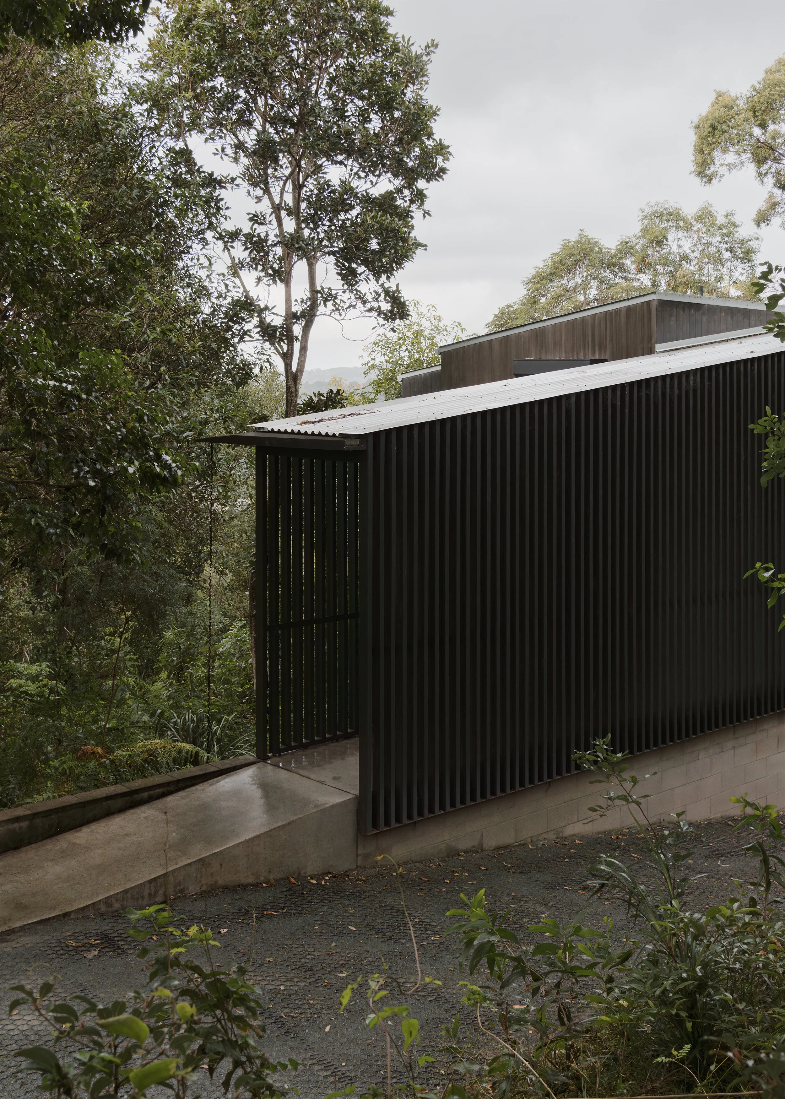 Screened entry ramp at Tallowwood Cabin by Queensland architect Fouche Architects, where black vertical battens provide privacy and shade beside the steep hinterland driveway.