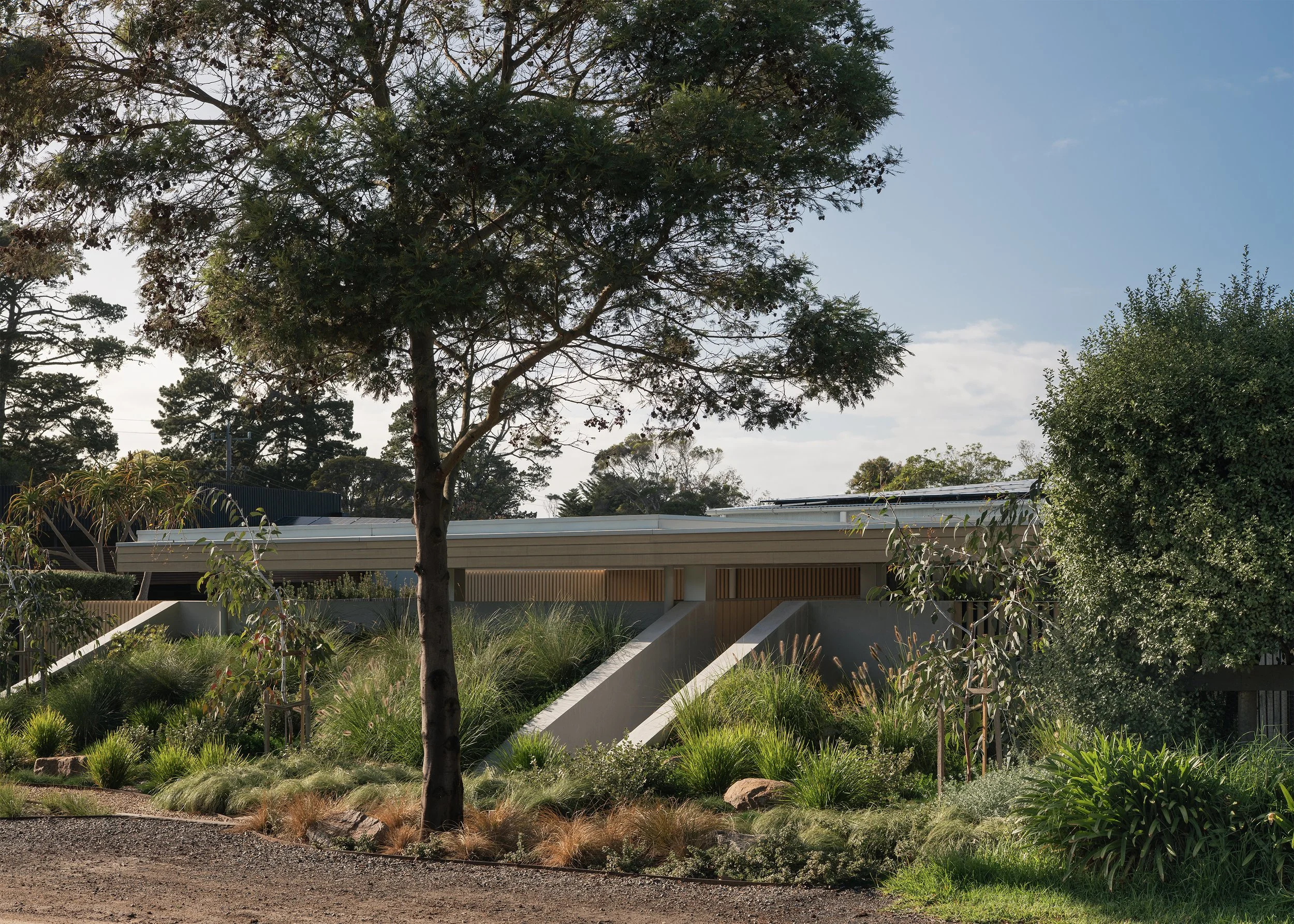 Bermed landscaped street frontage of Channel by Megowan Architectural, a contemporary new home in Mornington, Victoria.