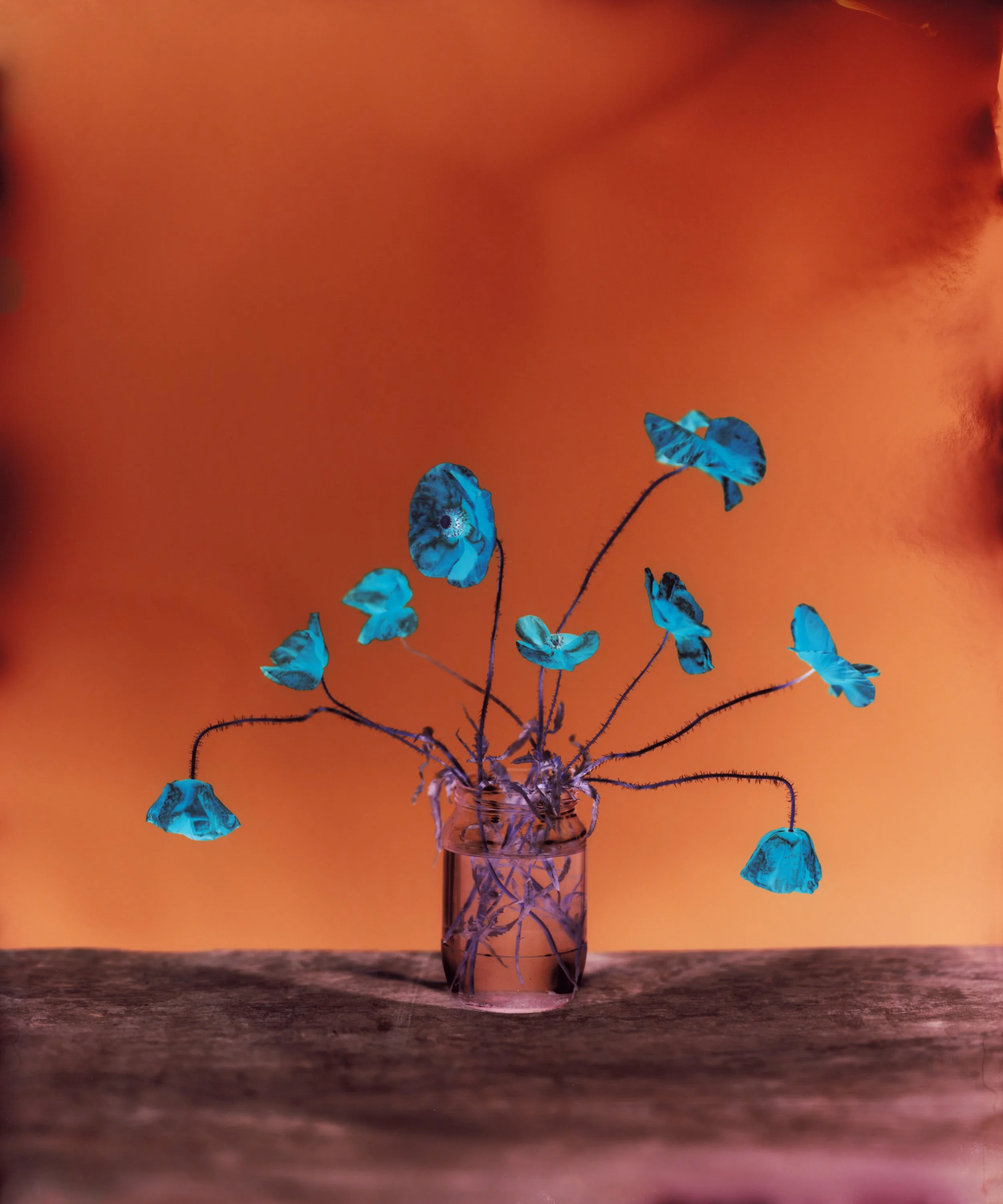 Photo_8-Photo_8-LEE FULL FLAT.tif.jpg