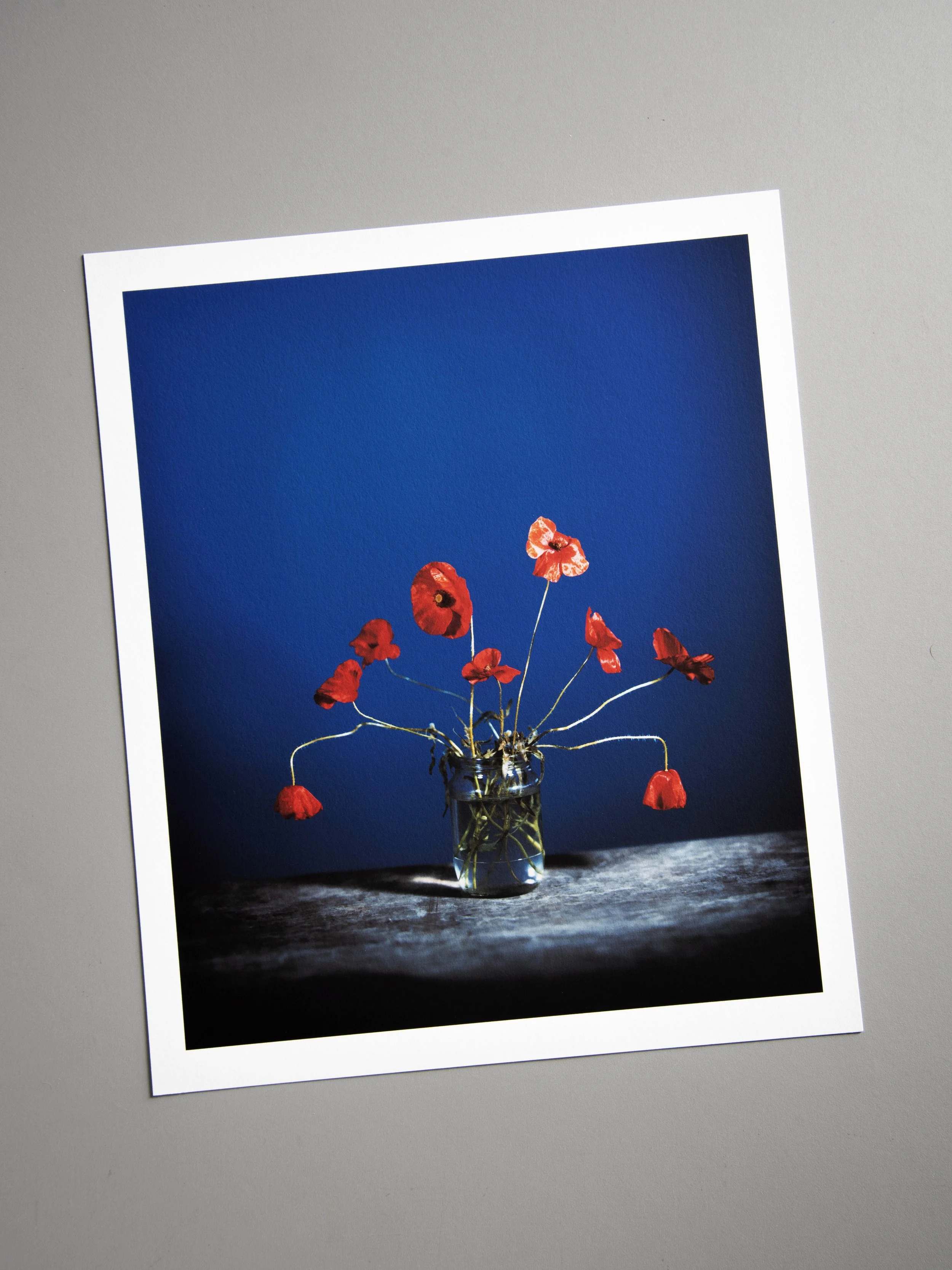 Common Poppy I