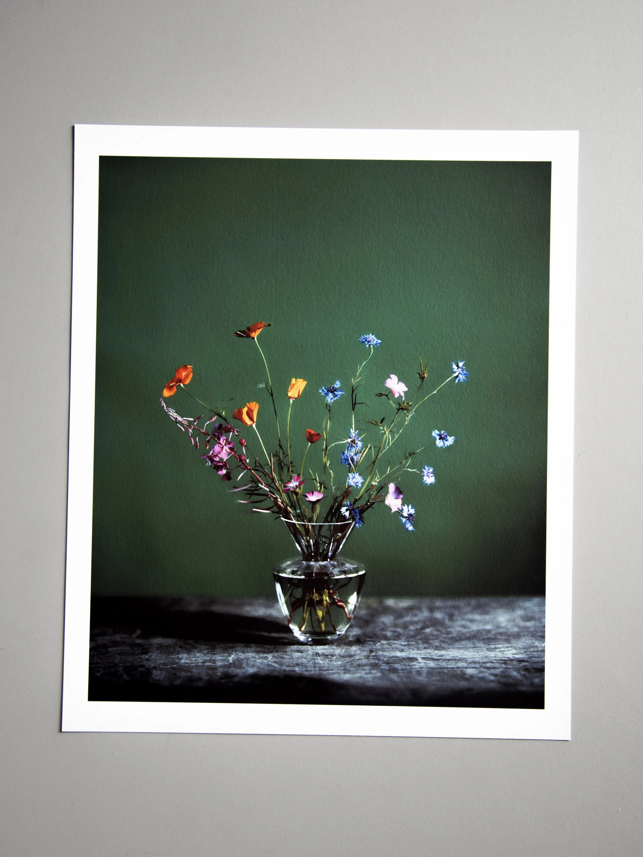 Cornflower