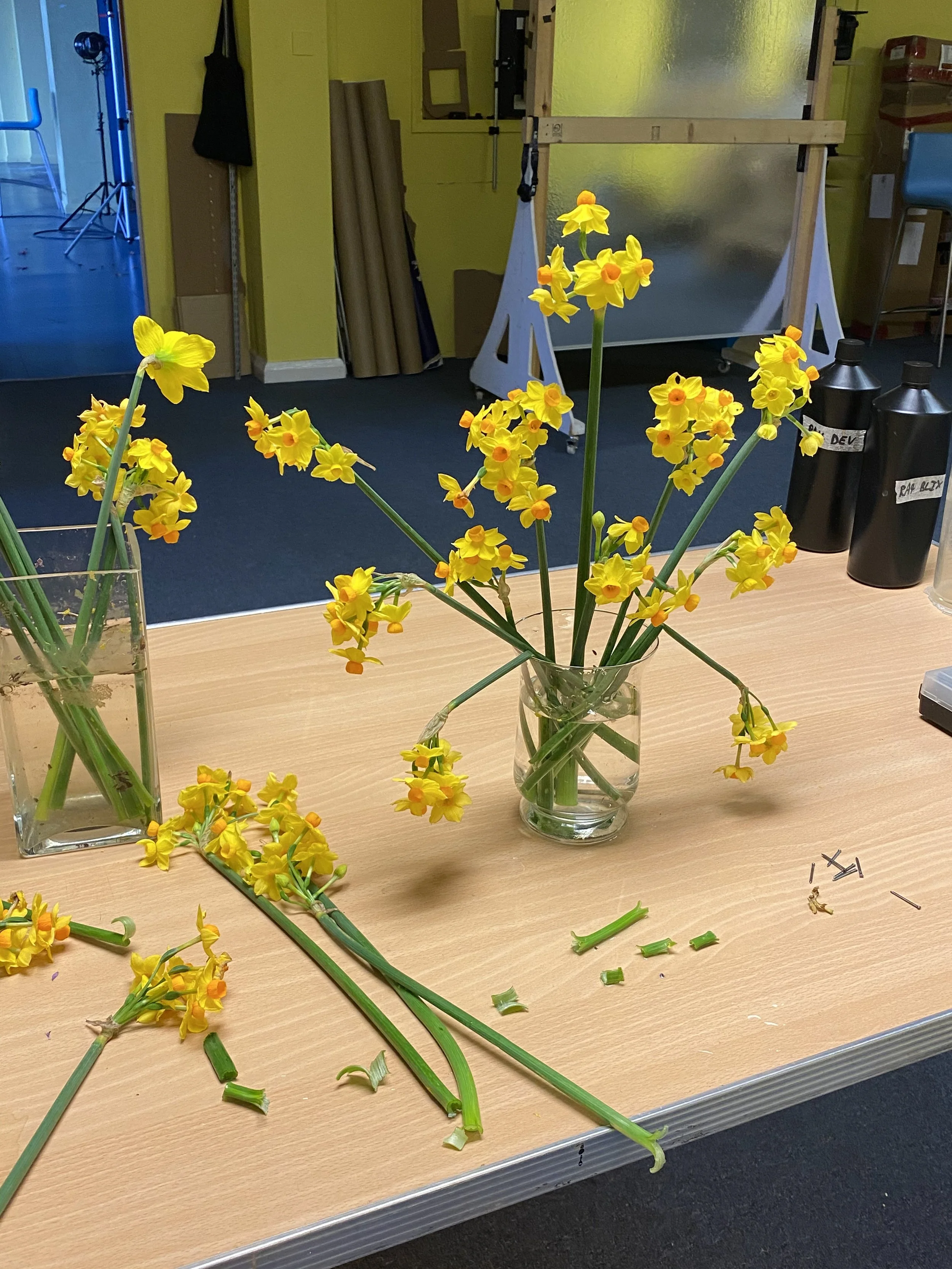 brendan_barry_flowers_camera_obscura_54.jpeg