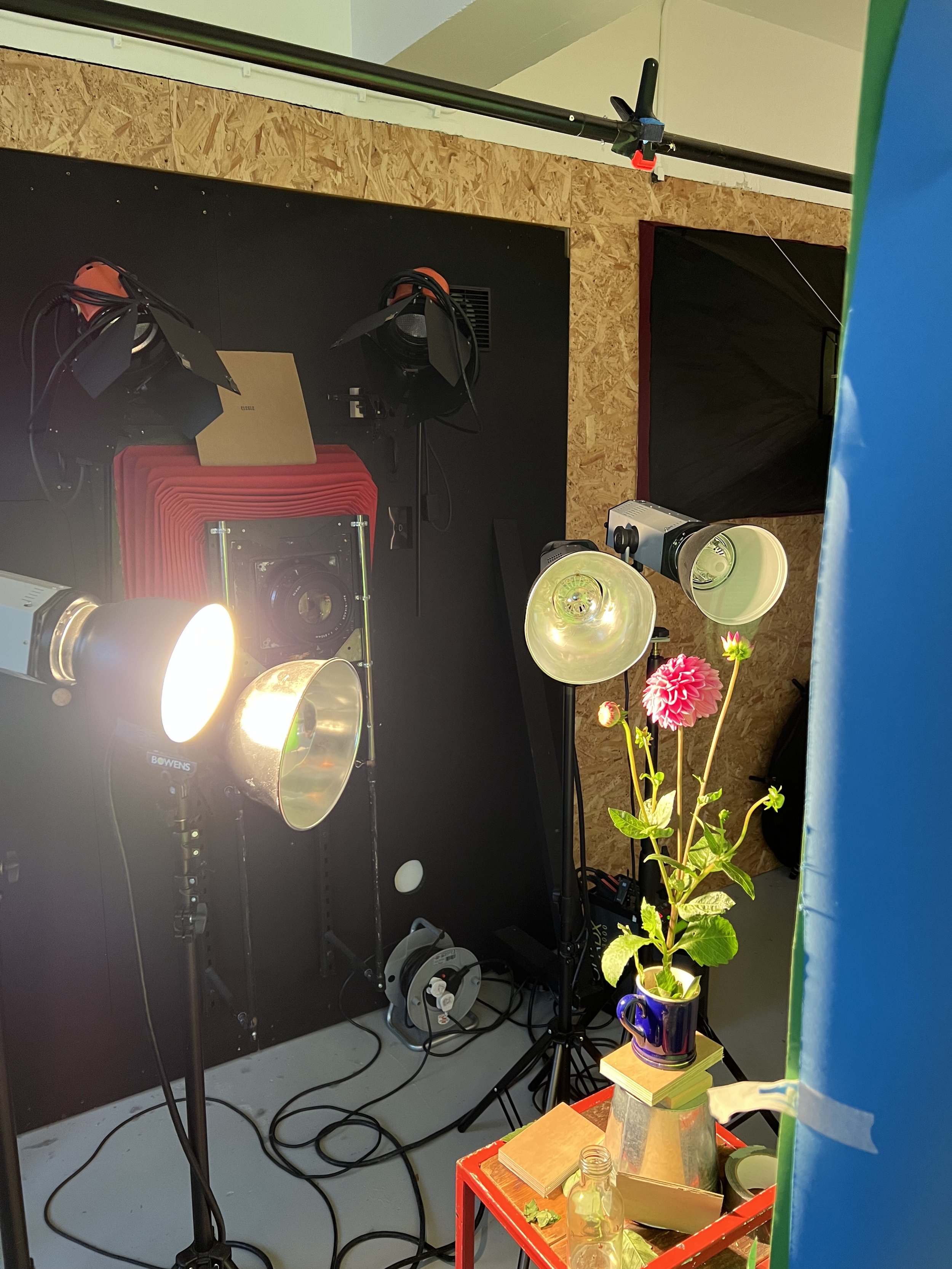 brendan_barry_flowers_camera_obscura_47.jpeg
