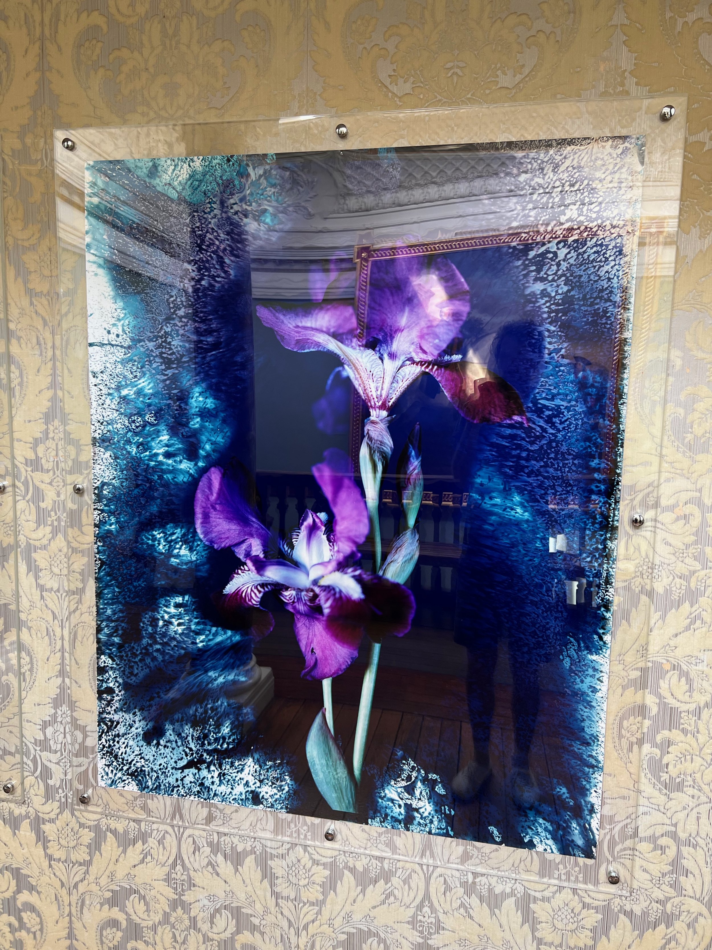 IMG_5506.jpeg