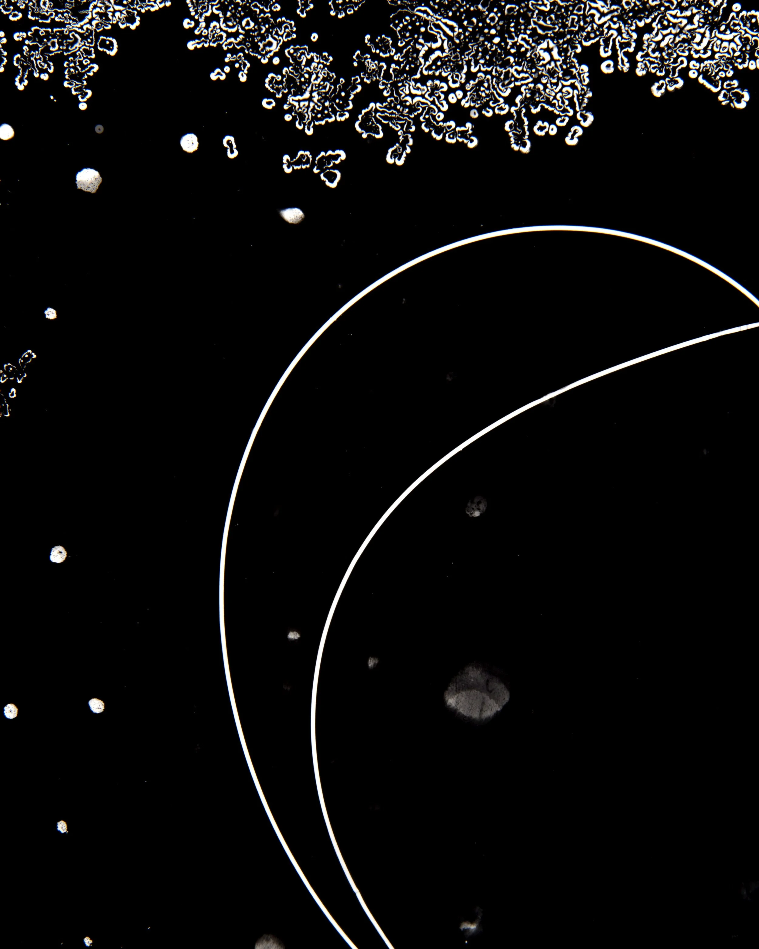 Cosmic_Slop_09.jpg
