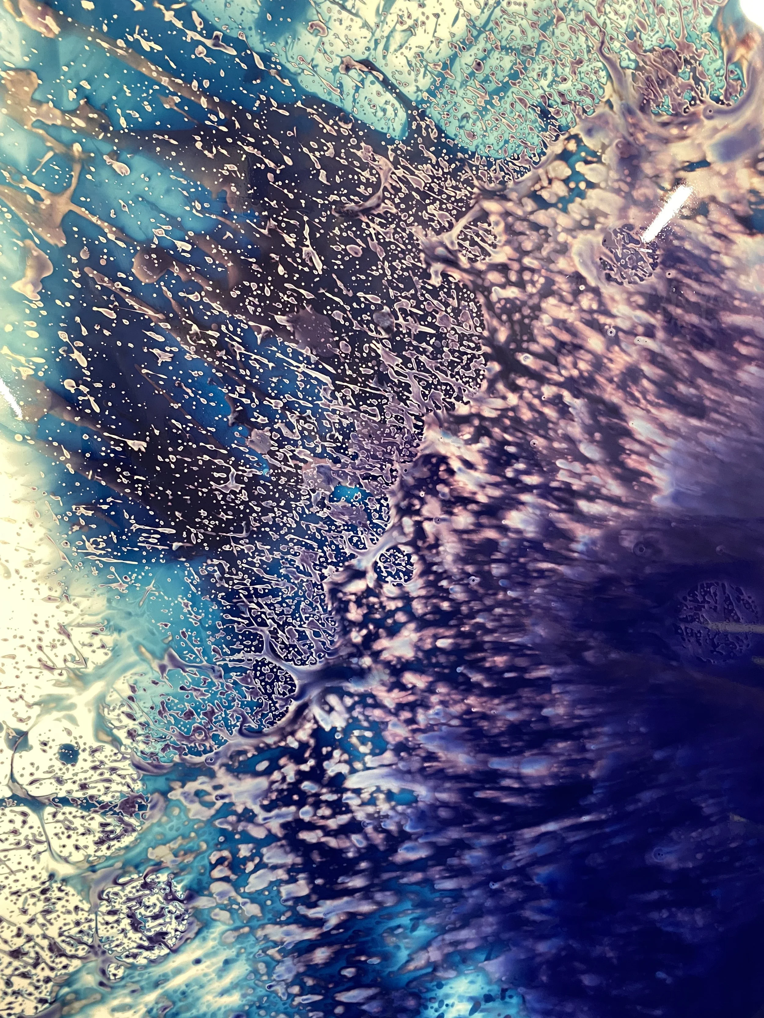 brendan_barry_flowers_camera_obscura_35.jpeg
