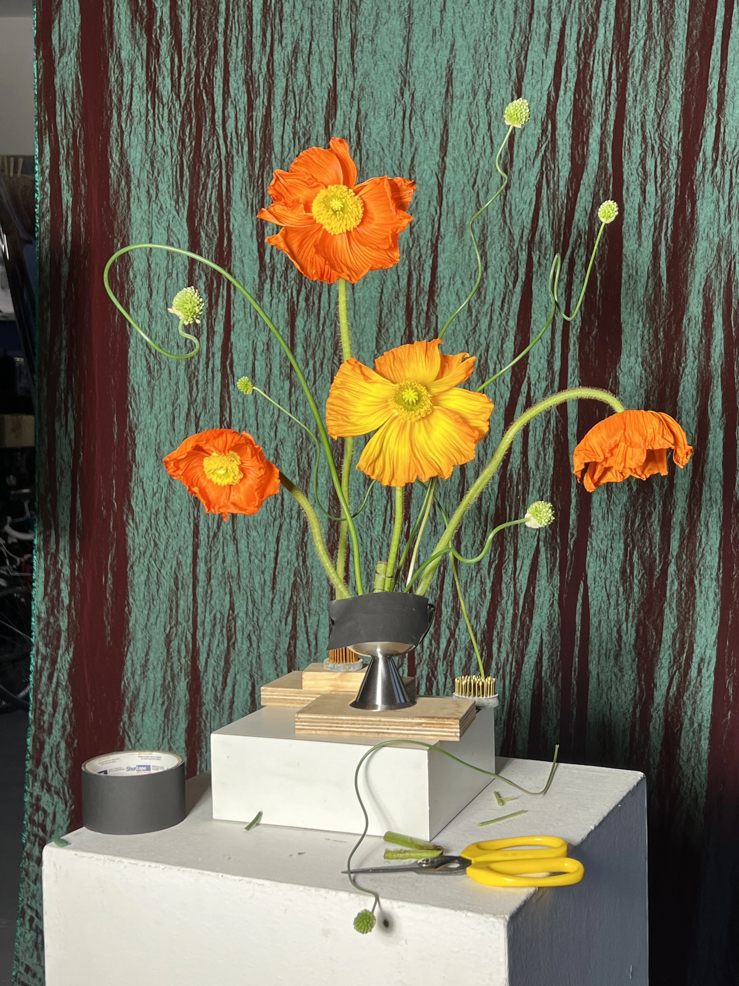 brendan_barry_flowers_camera_obscura_07.jpeg