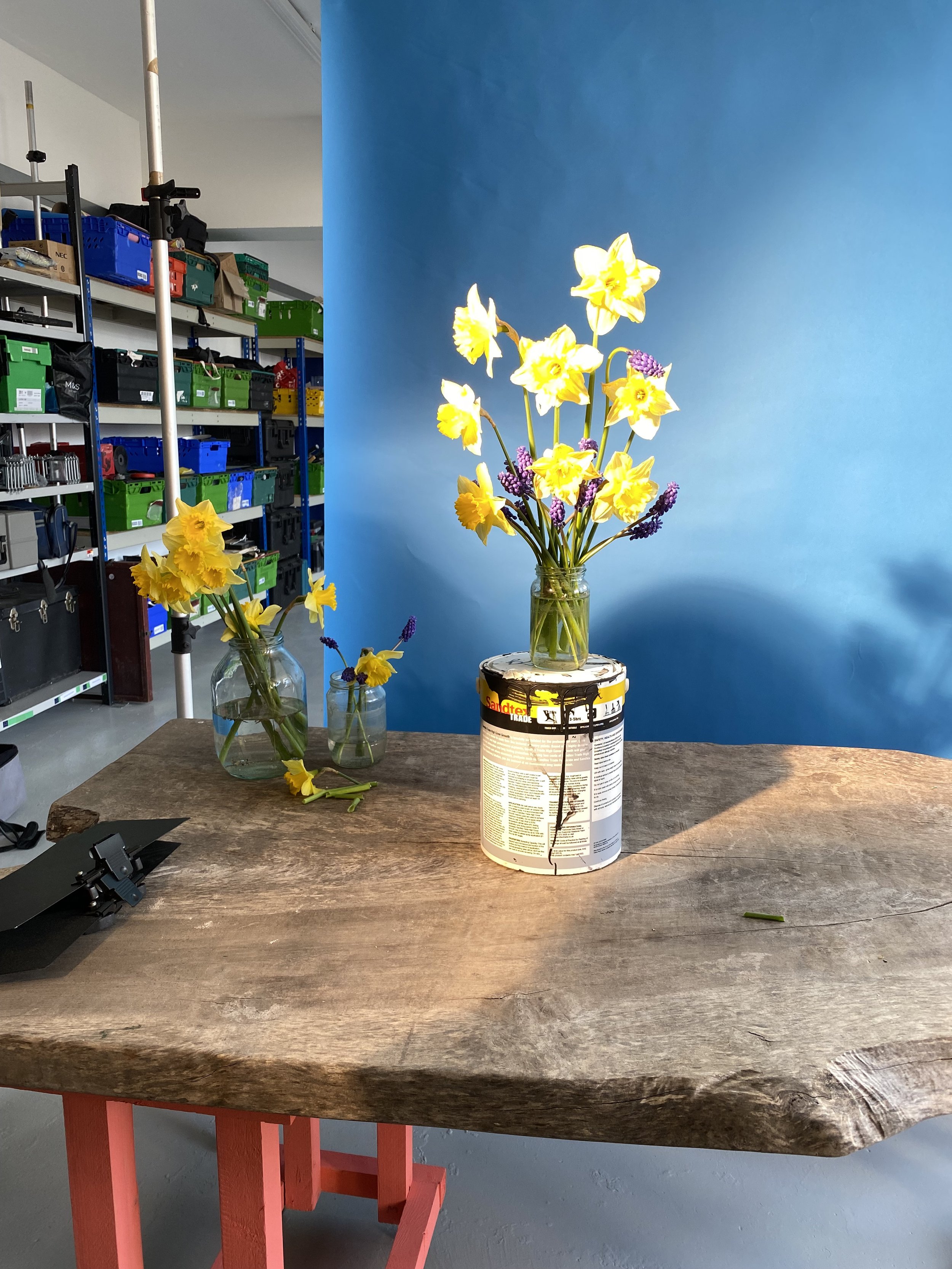 brendan_barry_flowers_camera_obscura_60.jpeg