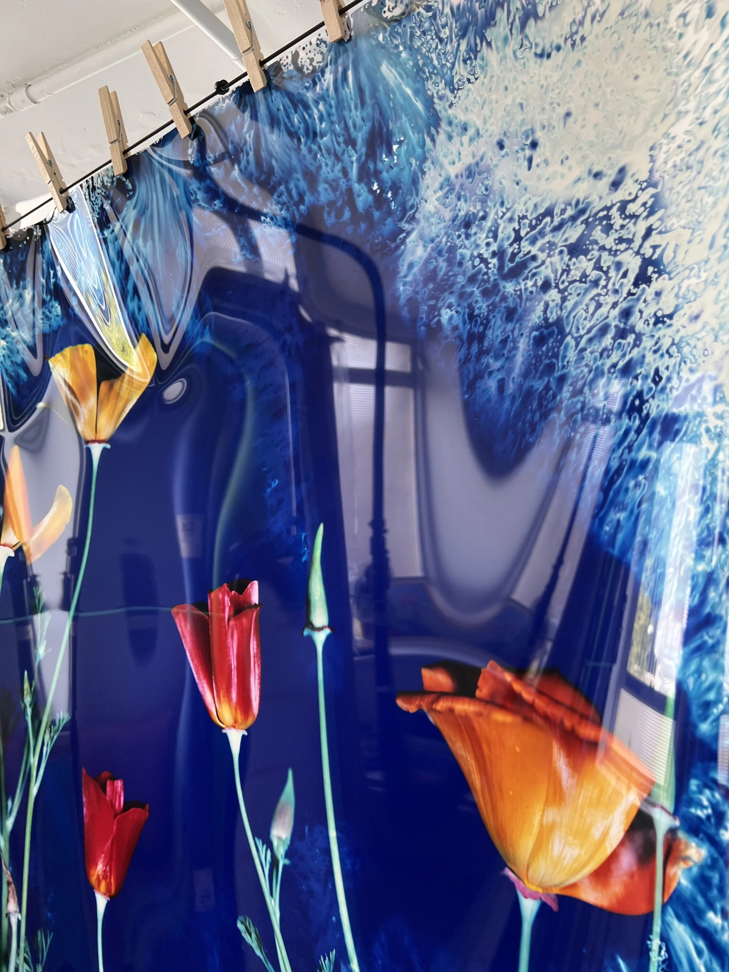 brendan_barry_flowers_camera_obscura_30.jpeg