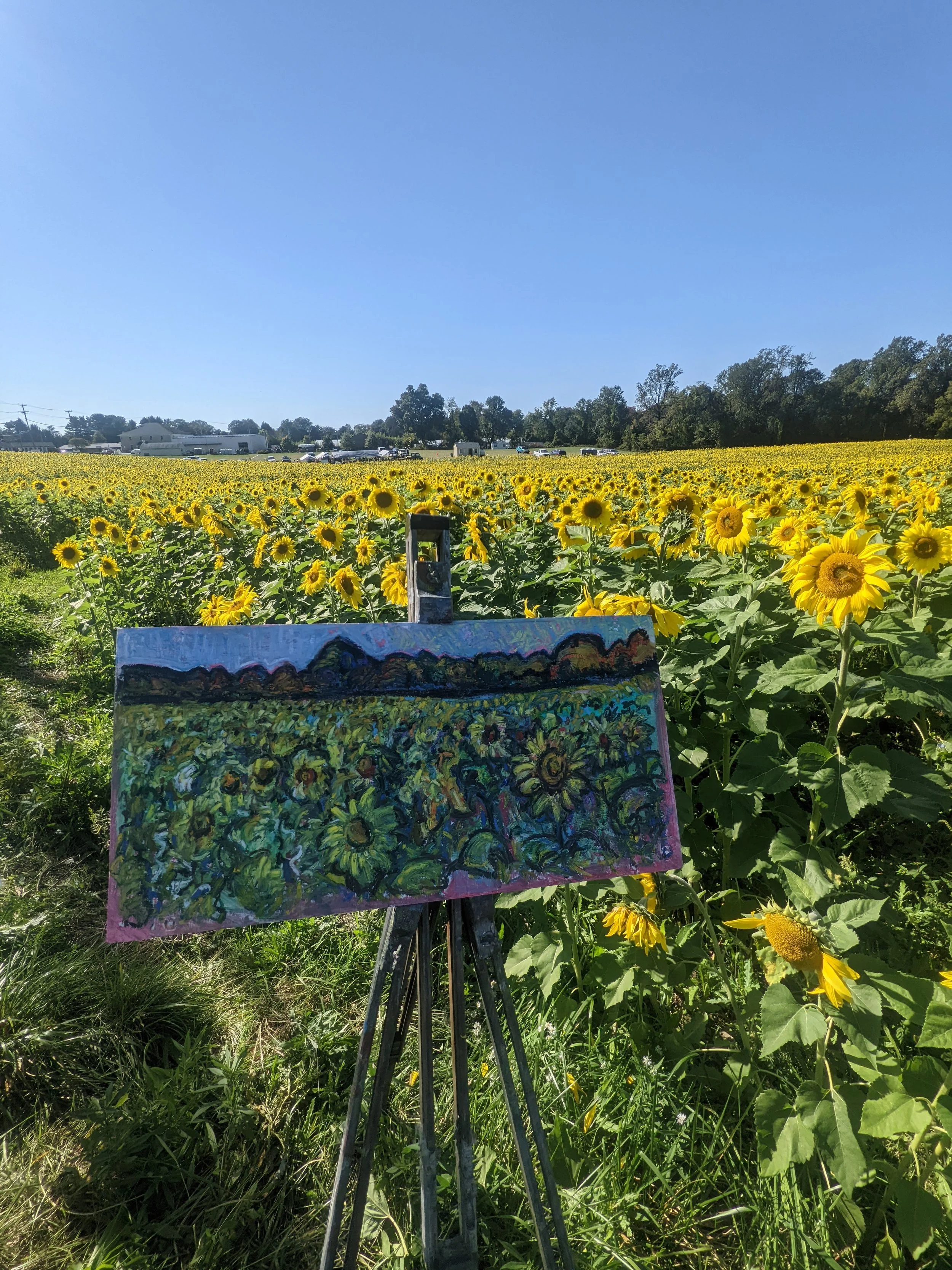 jarrettsvile sunflowers sunflower artist painter artwork canvas collin cessna artwork art pastel