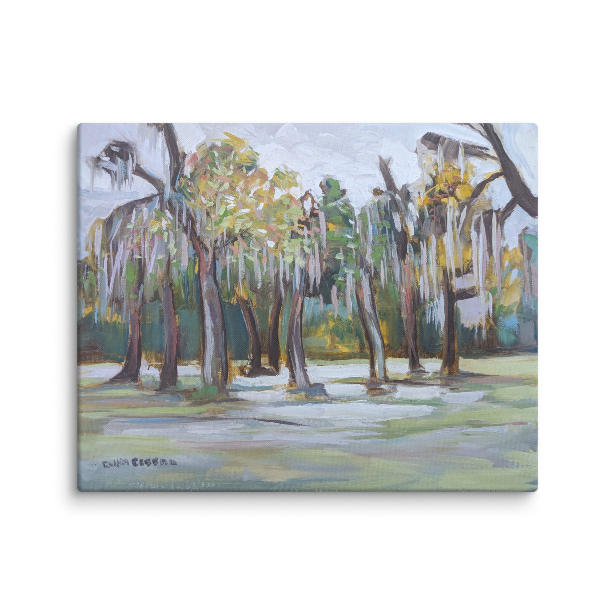 canvas-(in)-16x20-wall-6786b545108fc.jpg