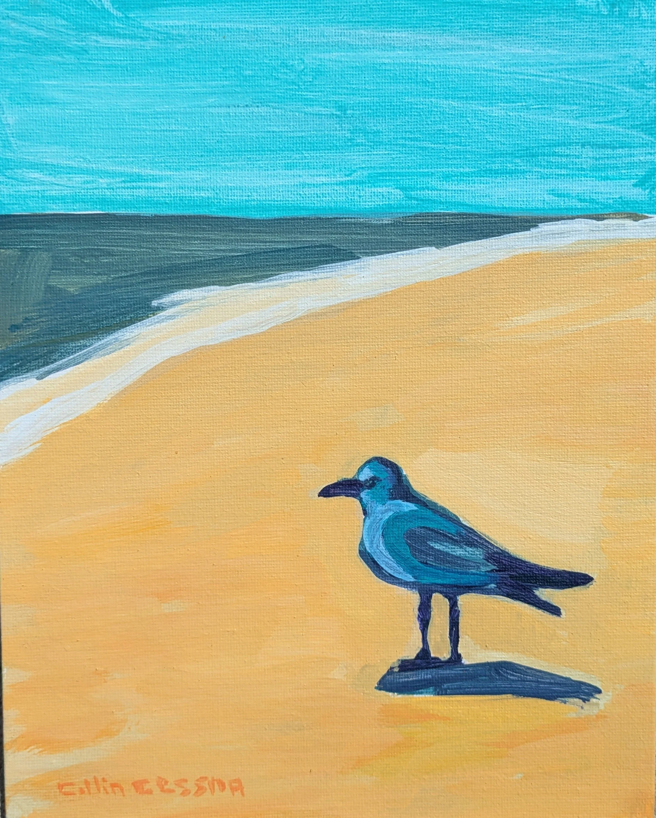 Ocean City Seagull