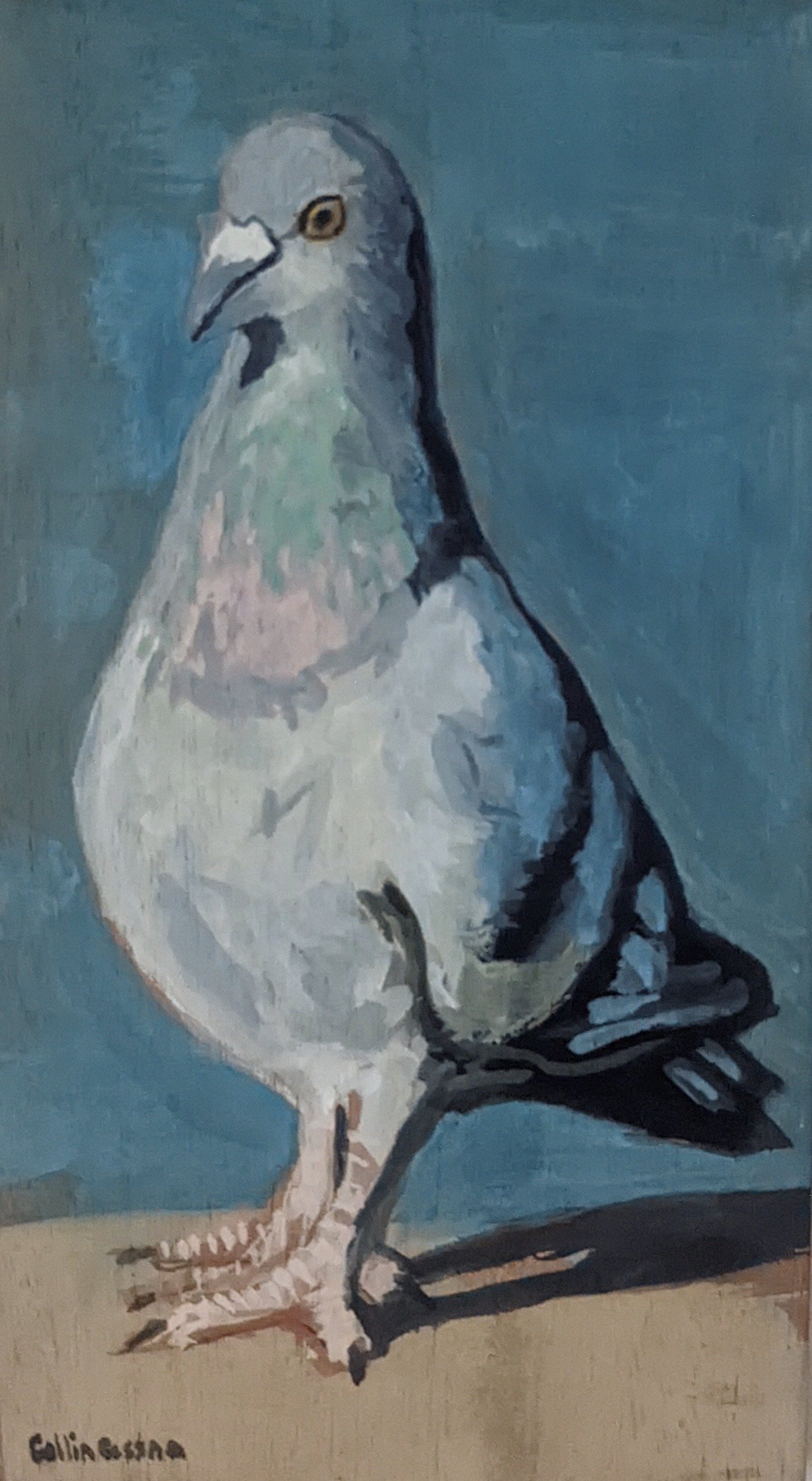 A painting of a bird, possibly a pigeon, with a blue background. The bird is standing on a surface, facing to the left with detailed feathers and a sharp eye.