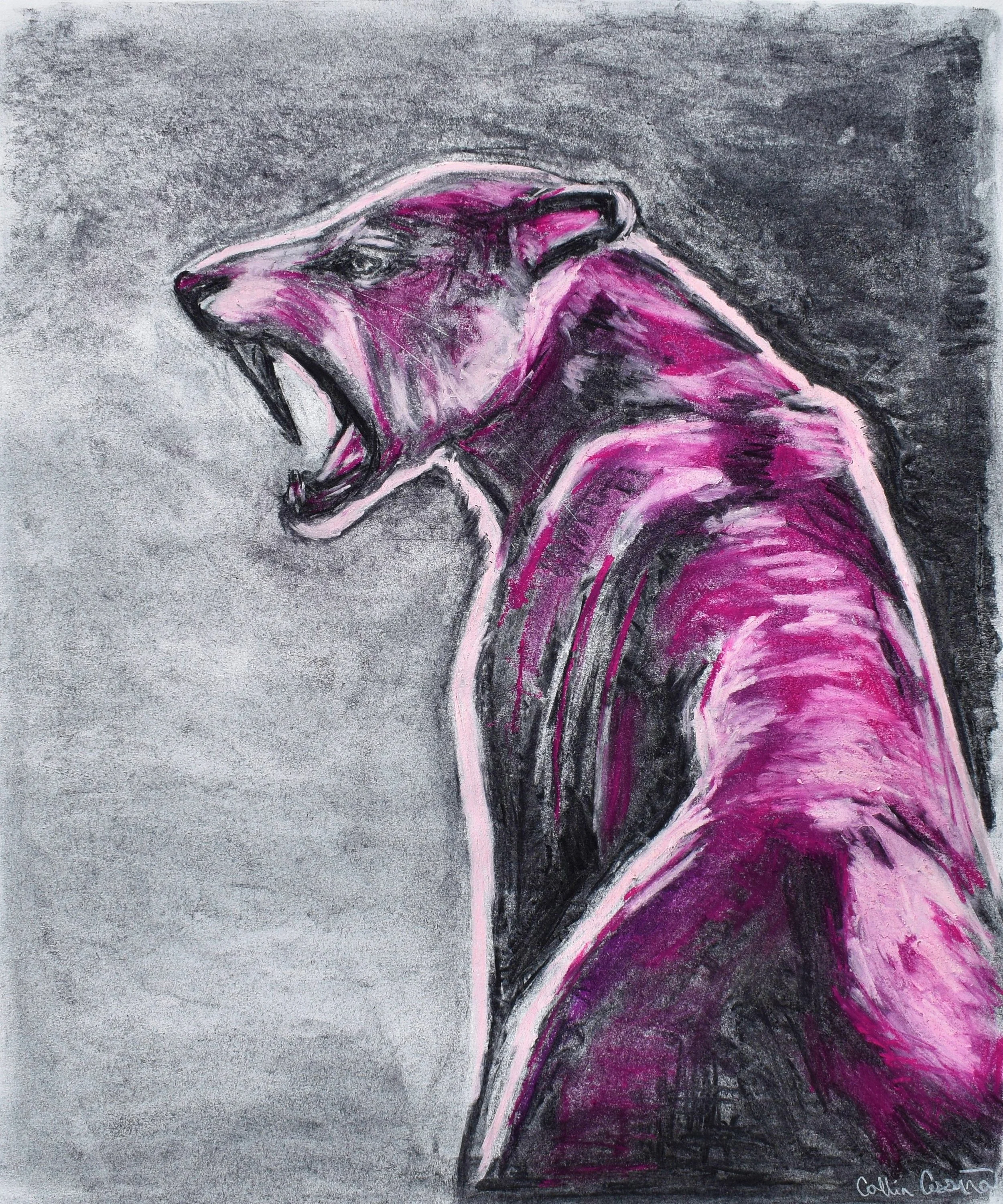 A drawing of a roaring panther with pink and black shading, on a gray background.