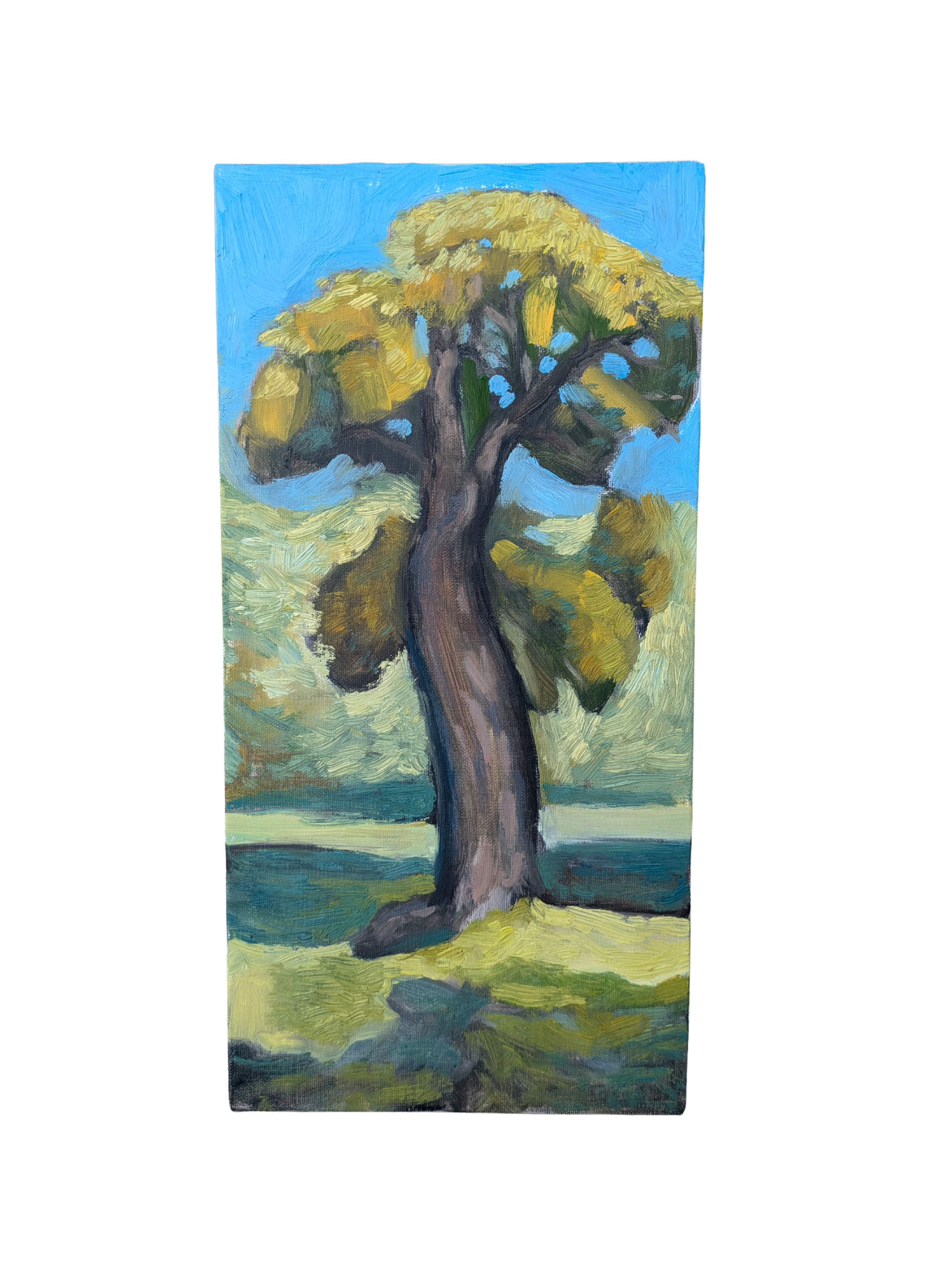 Catulpa Tree oil painting on linen panel by Collin Cessna created Hampton National Site nature art